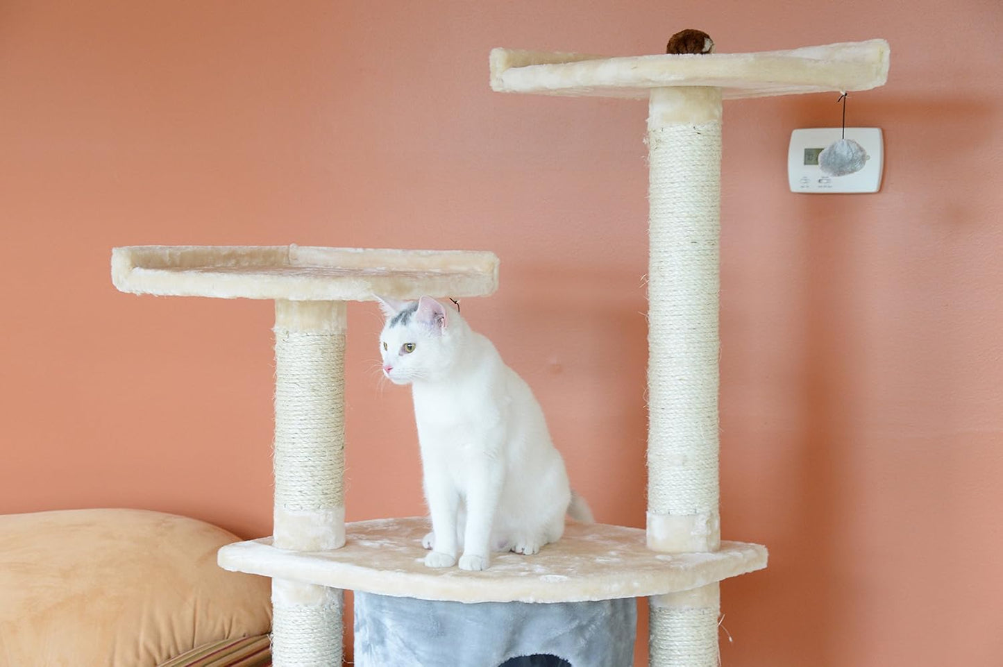 Armarkat Real Wood Cat Tree Model A6401, Blanched Almond,34"(L)X24"(W)X64"(H)