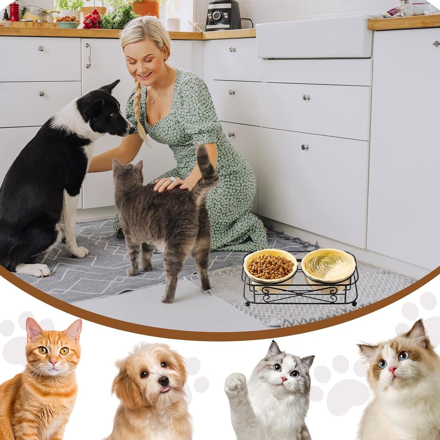 Washable Dog Bowl - Reusable Slow Feeder, Pet Feeder with Sturdy Stand, Puppy Bowls with Wide Mouth Design, Pet Feeding Station Accessories, Feline Bowl for Home Indoor Outdoor Use