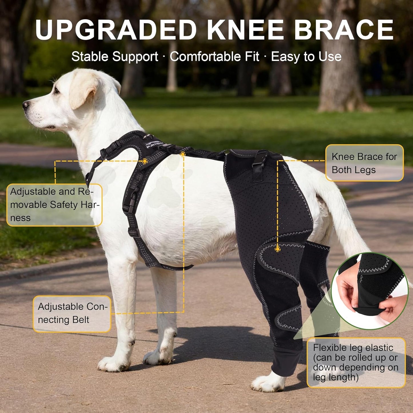 Dog Hind Leg Brace - Support for Pets with ACL Injuries, Keeps Knee Joints Warm and Stable, Adjustable Dogs Rear Leg Wrap Harness Personalized Set for Leg Wound Care Prevents Licking, M
