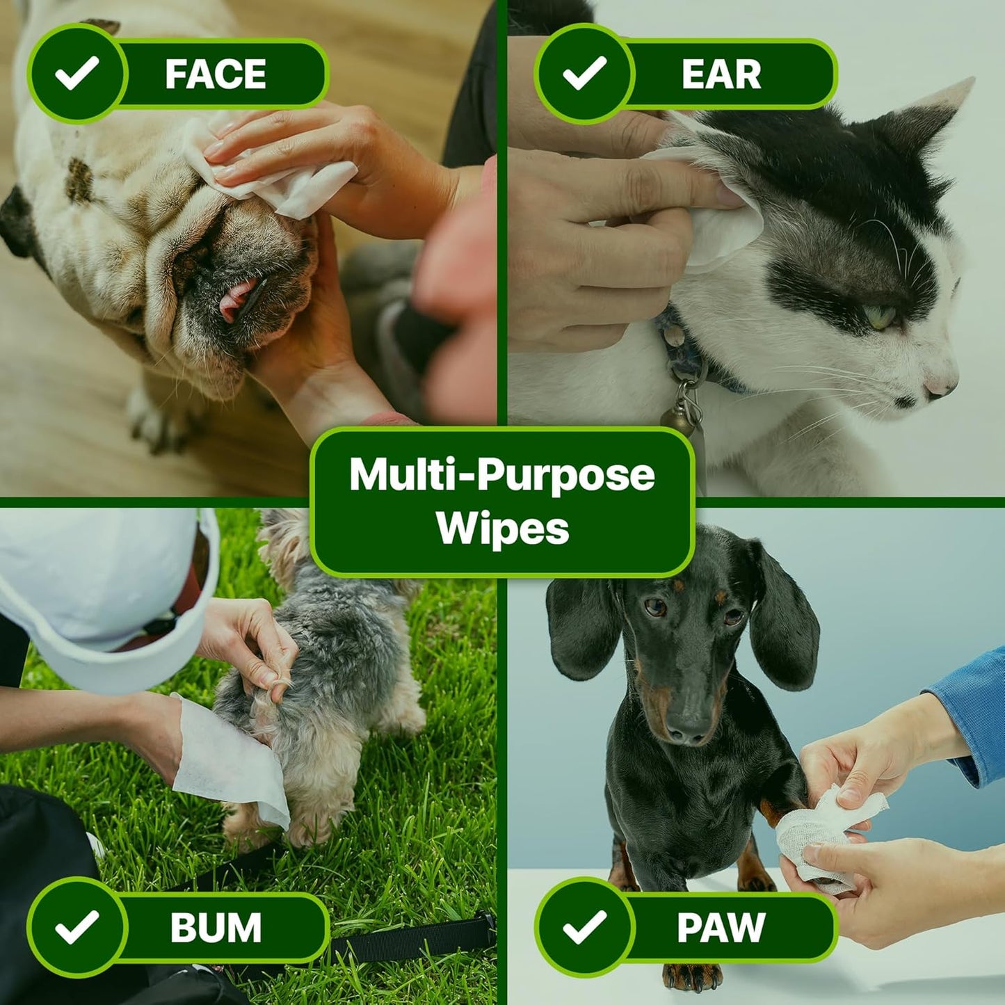 Premium Orchid Scented Dog Wipes for paws and butt 100 Count - Compostable Plant-Based Dogs & Cat Wipes, Strong Grooming Pet Wipes for Dogs and Cats, Use on Body, Bum, Ear & Paws (Pack of 1)