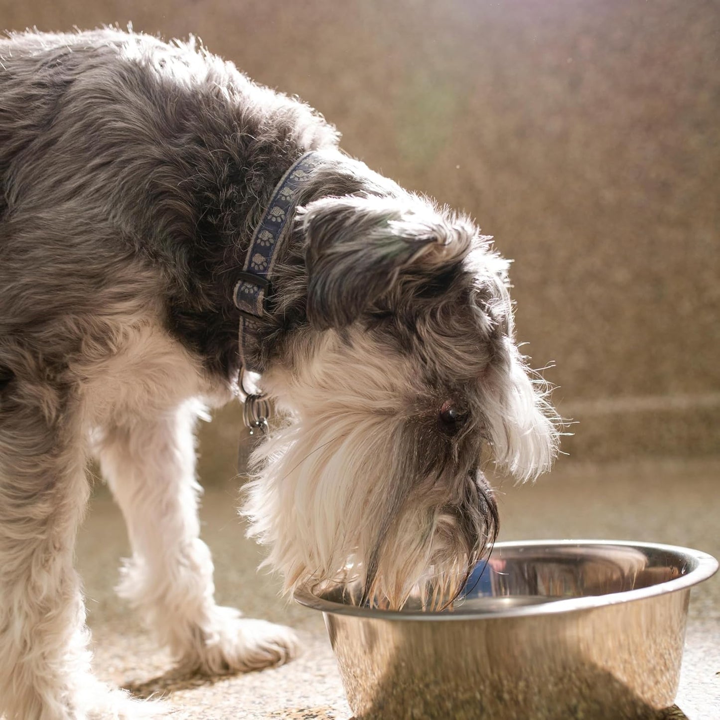 Stainless Steel Dog Bowl 2-Pack Metal Food and Water Dish (8.1" inch Outer Diameter) Pet Feeder Replacement Bowls Dishwasher Safe, Easy to Clean (7 Cups)