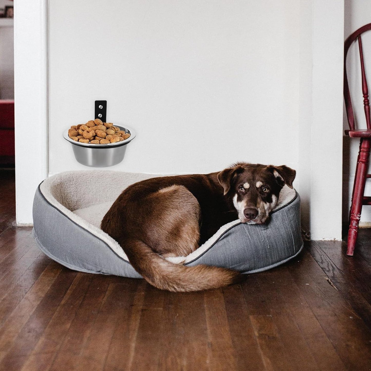 Milisten Elevated Wall-Mounted Dog Bowl 6-inch Raised Pet Food and Water Feeder Small to Medium Dogs Puppy Feeder for Comfortable Feeding