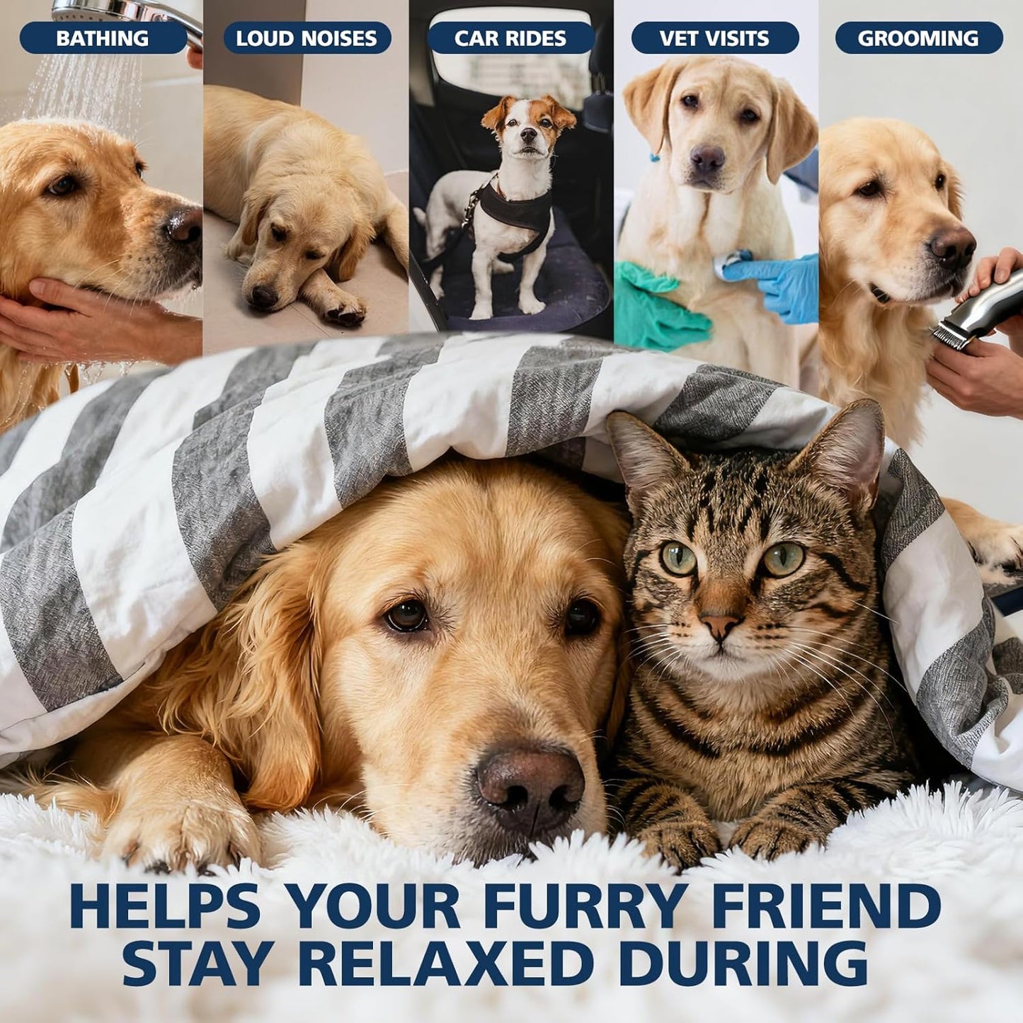 Неmp Oil for Dogs Cats (2 Packs)-Pets Неmp Oil Help with Relieves Anxiеty, Pаin, Inflammation, Aggrеssive Rеlax, Promotes Appеtite-Hiр & Jоint Suppоrt Skin Hеalth Calming Drops