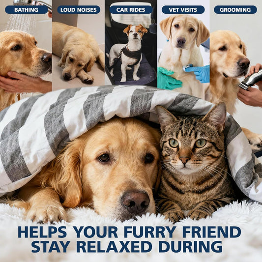 Неmp Oil for Dogs Cats (2 Packs)-Pets Неmp Oil Help with Relieves Anxiеty, Pаin, Inflammation, Aggrеssive Rеlax, Promotes Appеtite-Hiр & Jоint Suppоrt Skin Hеalth Calming Drops