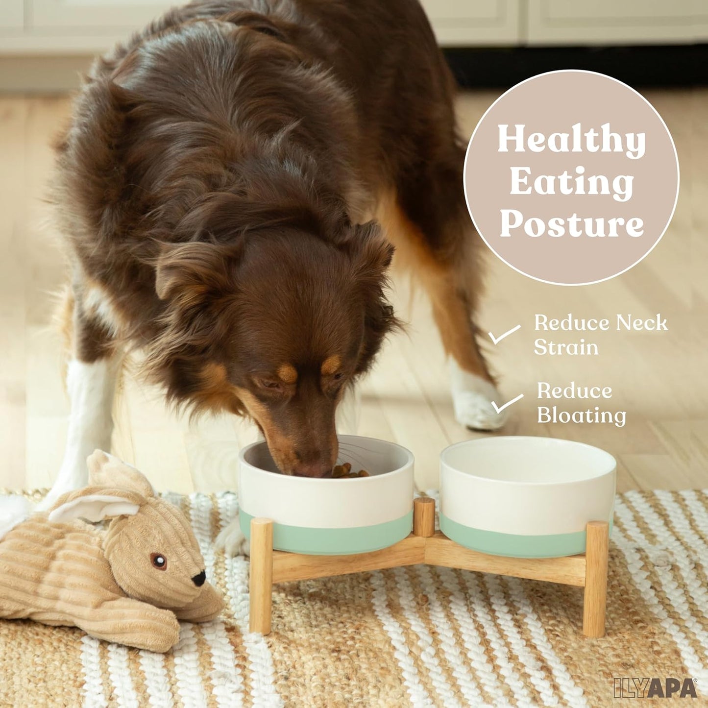 Ilyapa Ceramic Dog Bowls - Elevated for Medium Sized Pet with Raised Food and Water Set - Green Double 6 inch, 28 Oz Bowls & 13x6.3x5.5 Wooden Stand