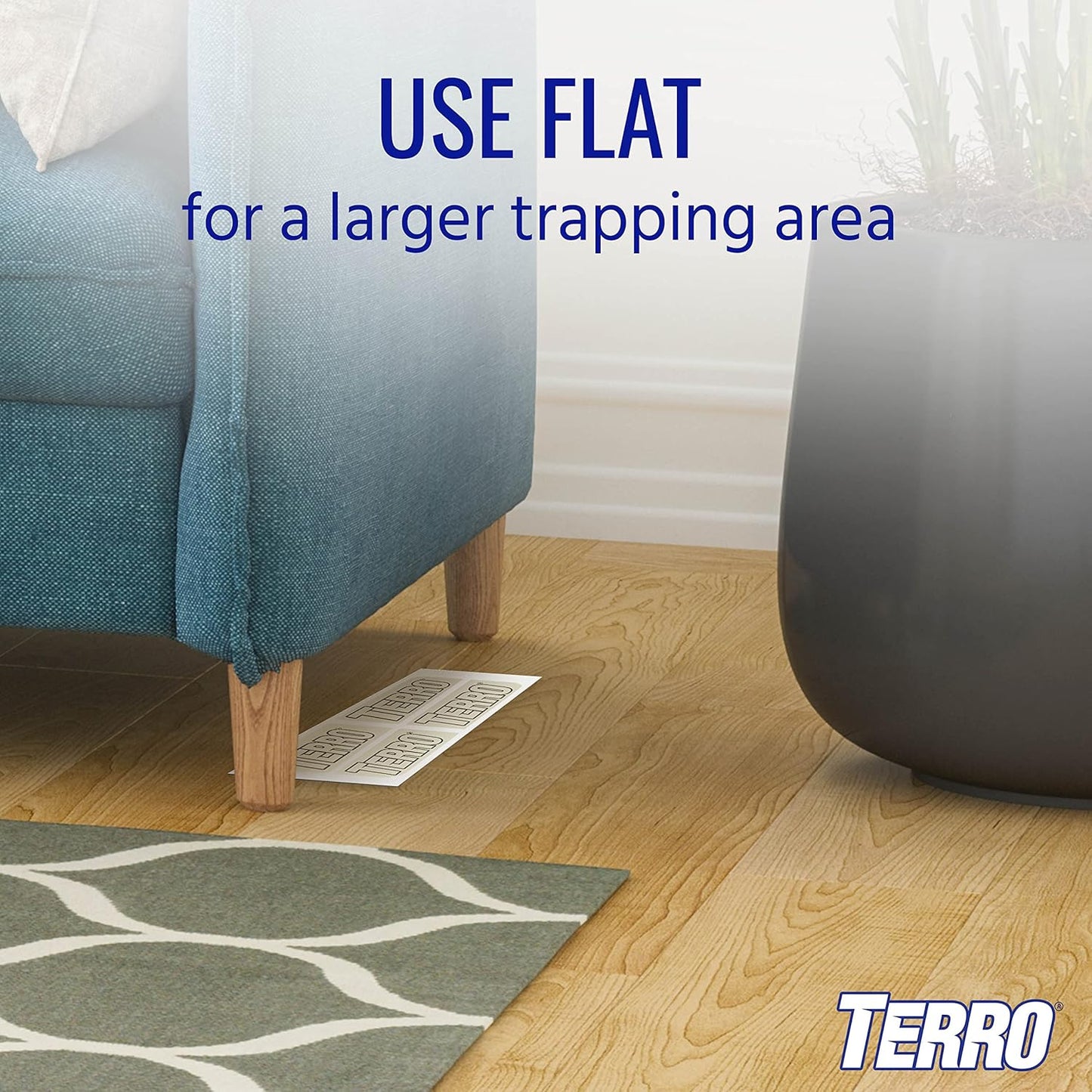 TERRO T3206SR Non-Toxic Indoor Spider, Ant, Cockroach, Centipede, & Insect Traps - Includes 12 Bug Traps Indoor for Homes