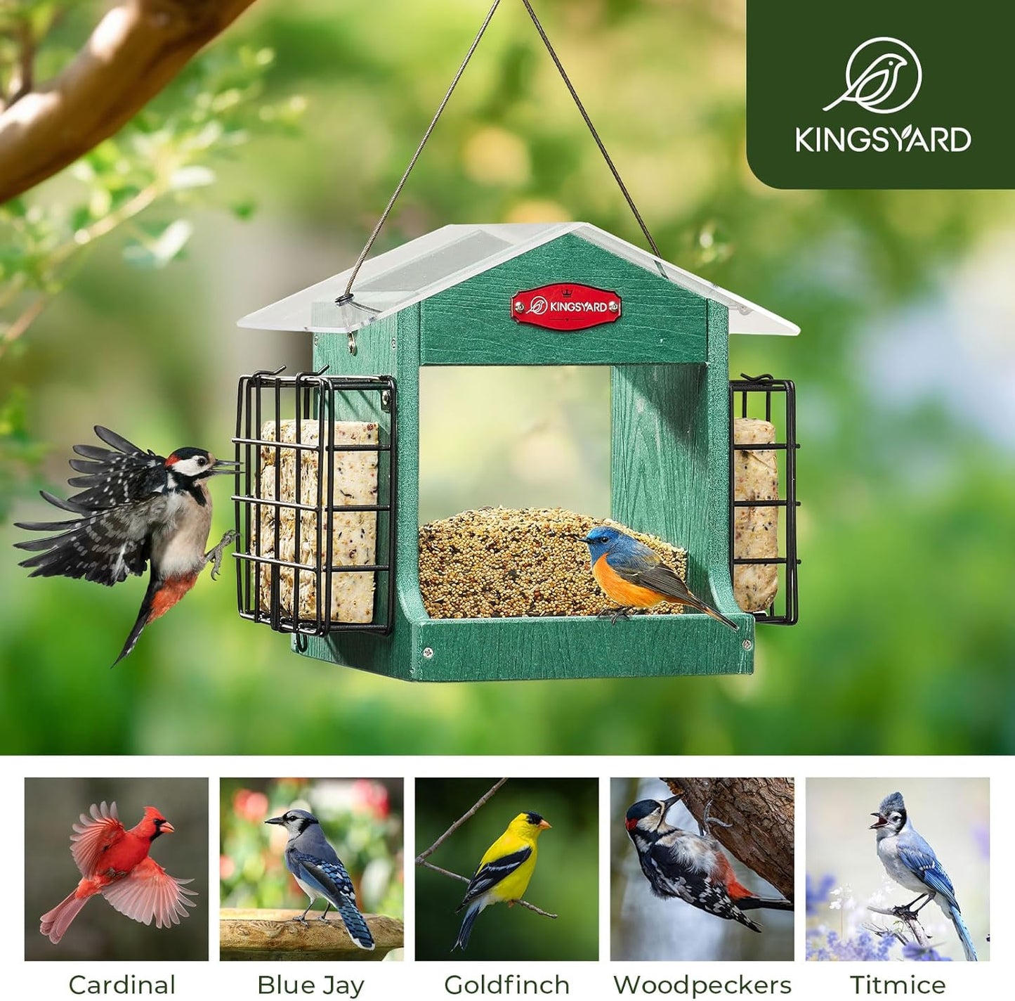 Kingsyard Bird Feeder for Outdoor Hanging - Recycled Plastic Double Suet Cages Wild Bird Feeder with Metal Mesh Tray and Rainproof Roof, 2.5 LBS Large Capacity. Green
