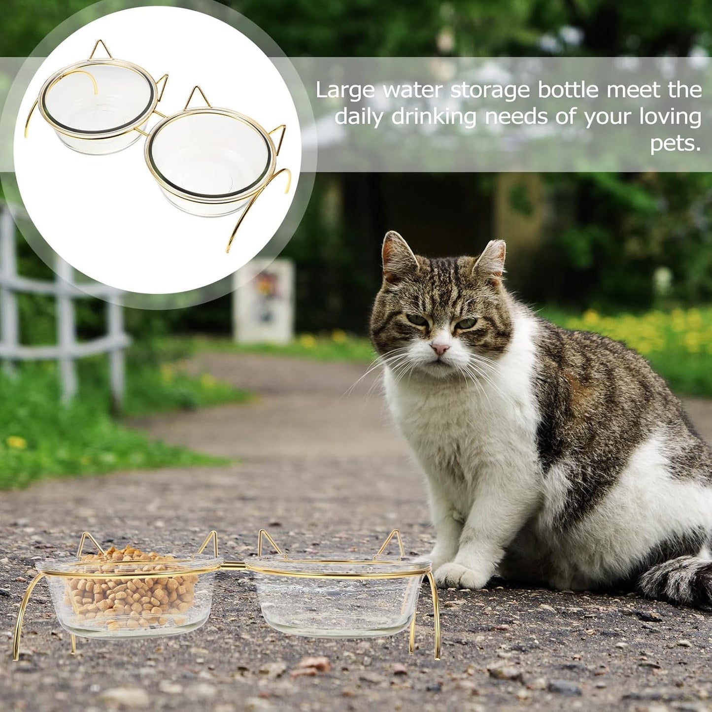 PRETYZOOM Raised Cat Bowls Set with Angled Bowls and Double Iron Stand, High Base Pet Food Feeder and Water Feeder for Cats, Neck Protection Design for Comfortable Feeding