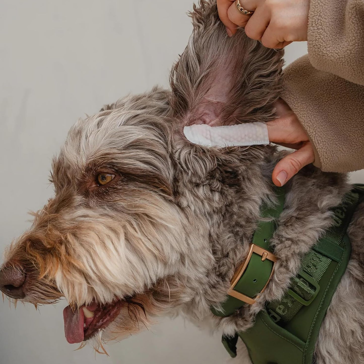 Eyes, Ears & Nose Finger Wipes - Dog - 100ct Soft Cleansing Wipes, Unscented, Pet Safe, Daily Grooming & Care, Control Design, Pre-Moistened