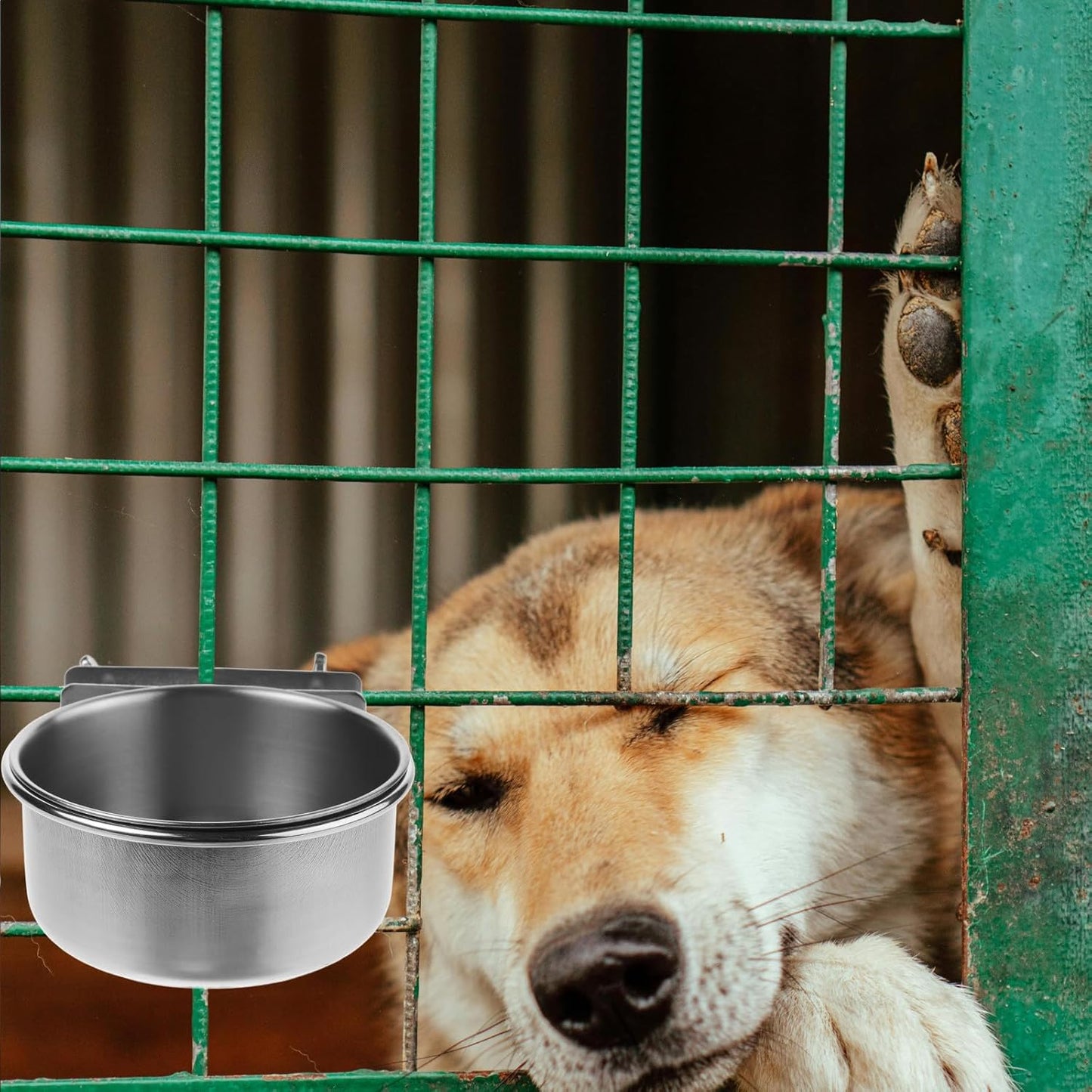 PRETYZOOM Elevated Dog Bowl and Water Dish Set with Stainless Steel Bowls, Wall-Mounted Double Screw Holder 10cm, Non-Spill Feeder for Small to Large Dogs and Puppies