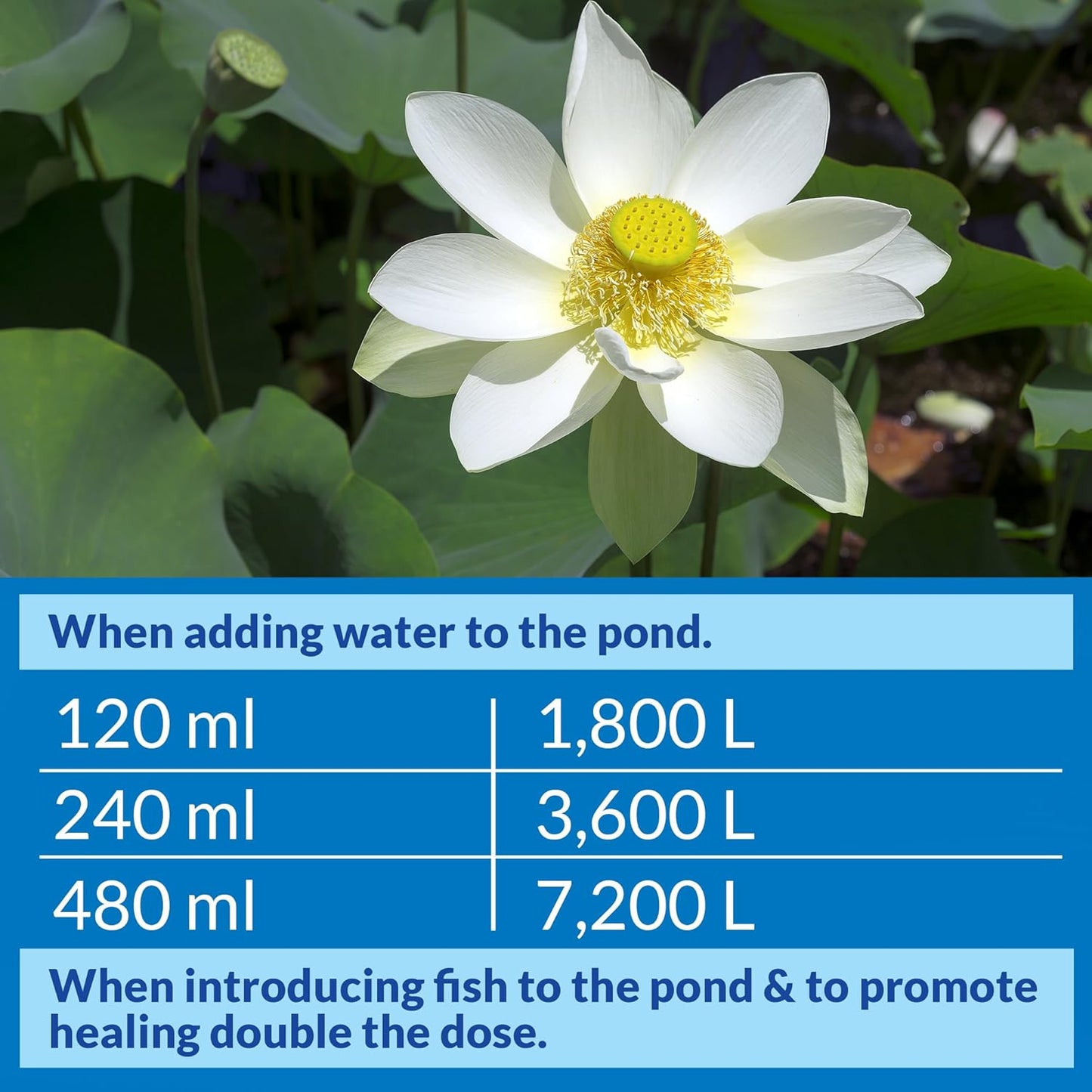 API POND STRESS COAT Pond Water Conditioner 16-Ounce Bottle