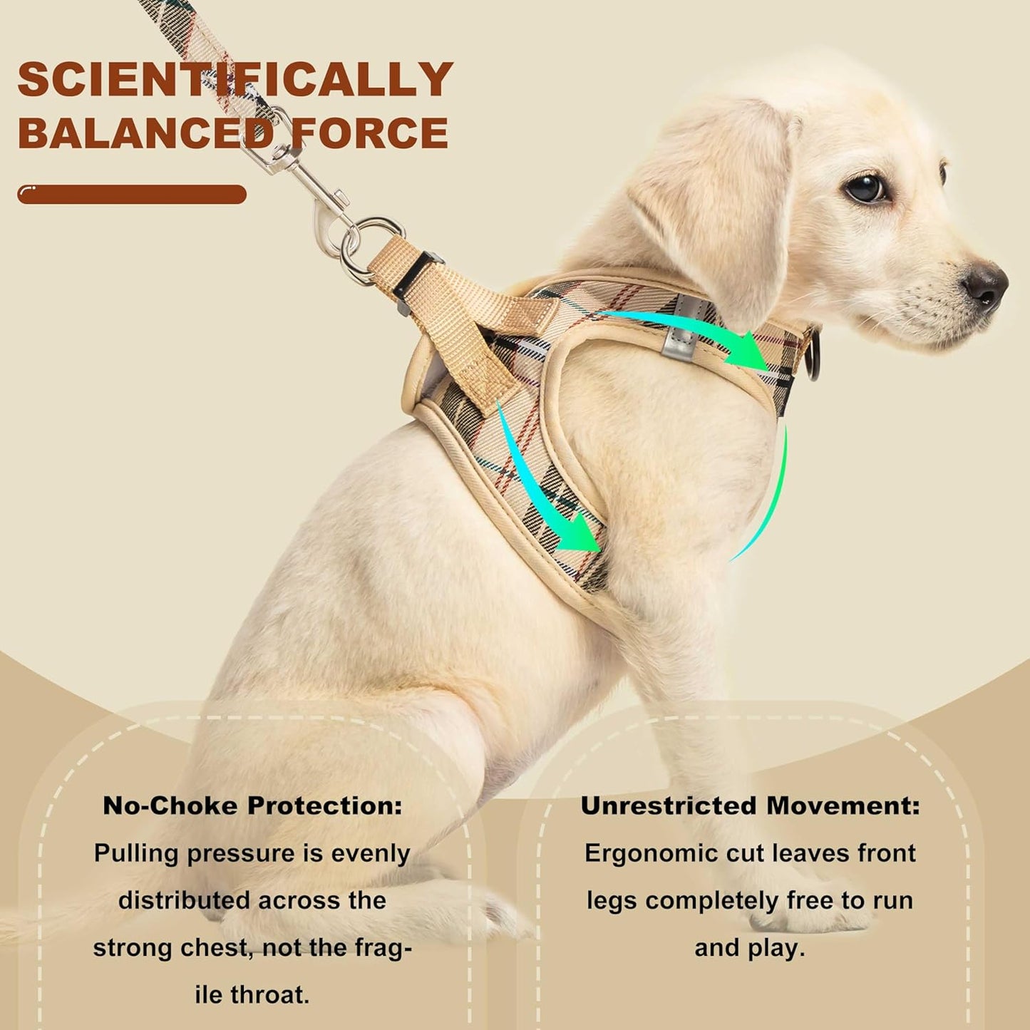 Escape-Proof Small Dog Harness - No-Choke Step-in Mesh Vest with 360° Reflective Strips, Soft Padded Breathable Harness for Anxious Dogs, Puppies & Active Breeds, Fits Corgi, Pug, Frenchie S