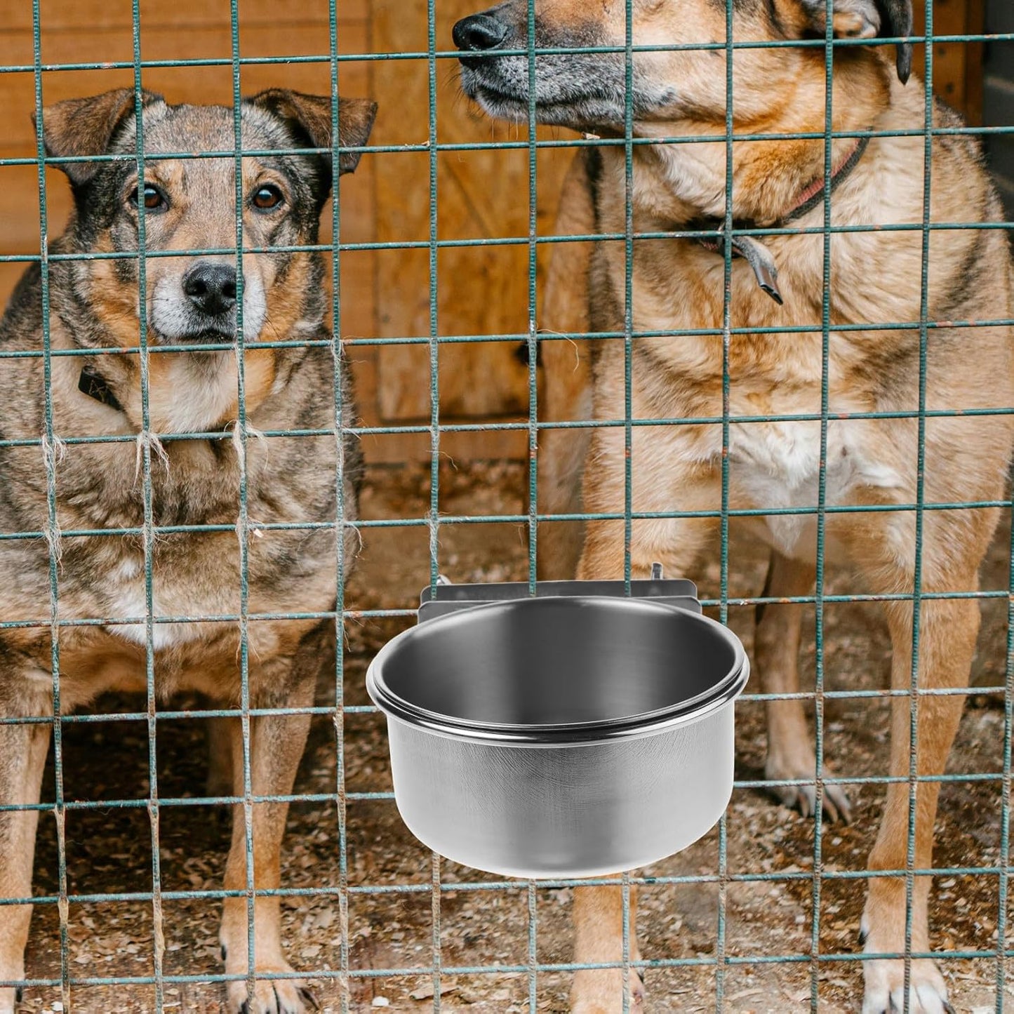 PRETYZOOM Elevated Dog Bowl and Water Dish Set with Stainless Steel Bowls, Wall-Mounted Double Screw Holder 10cm, Non-Spill Feeder for Small to Large Dogs and Puppies