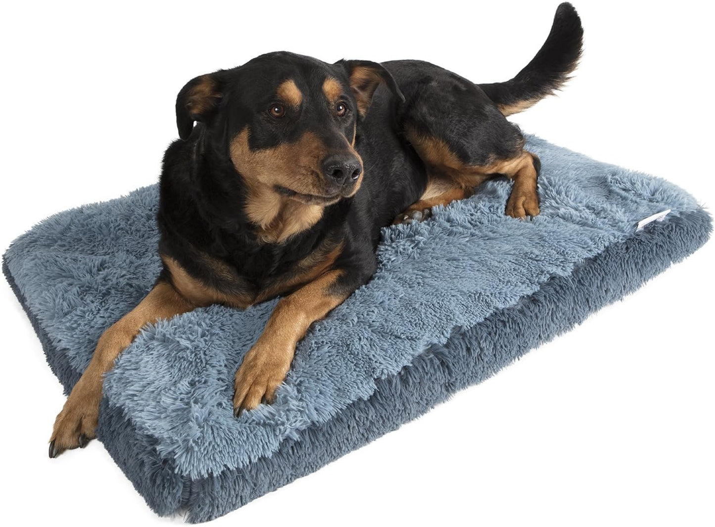 Paws & Pals Dog Bed for Pets & Cats - Fuzzy Foam Deluxe Premium Bedding Cuddler Lounger Two-Toned Design for Home & Crate (Medium, Blue)