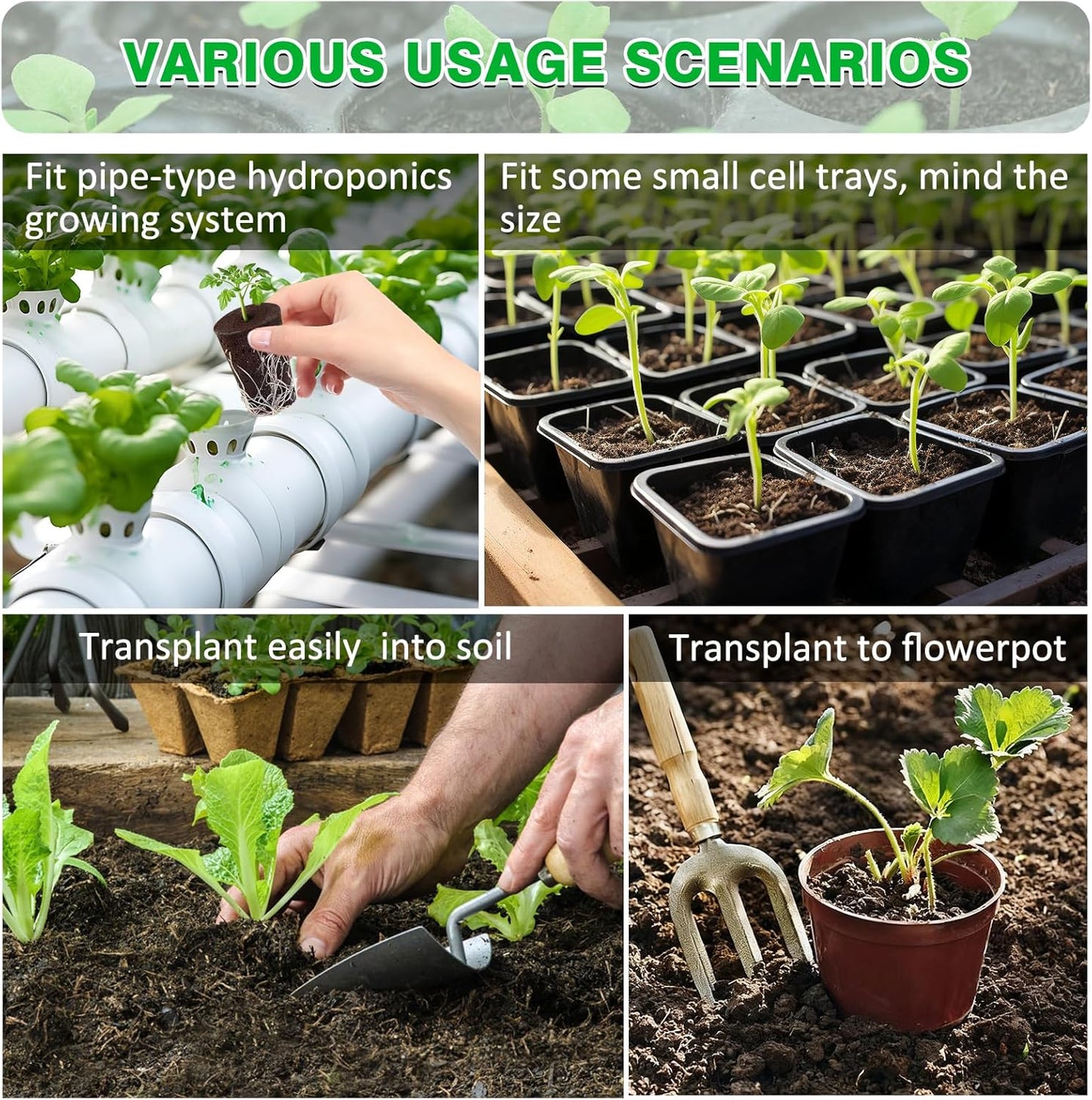 50 Pack Grow Sponges, Large Seed Pods Replacement Sponges, General Hydroponics Rapid Rooter Plugs for Indoor and Outdoor Soil Garden, Seed Germination, Plant Rooting, Vegetable Cultivation