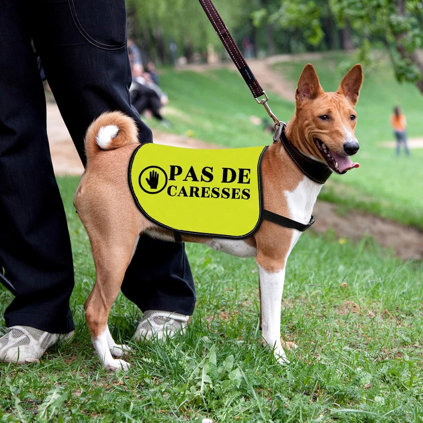 Dog Slogan Jacke Vest Anxiety Vests Pas De Caresses Dog Vests Dogs Trainer Gift Dogs Walking Warning (CARESSES-Medium)