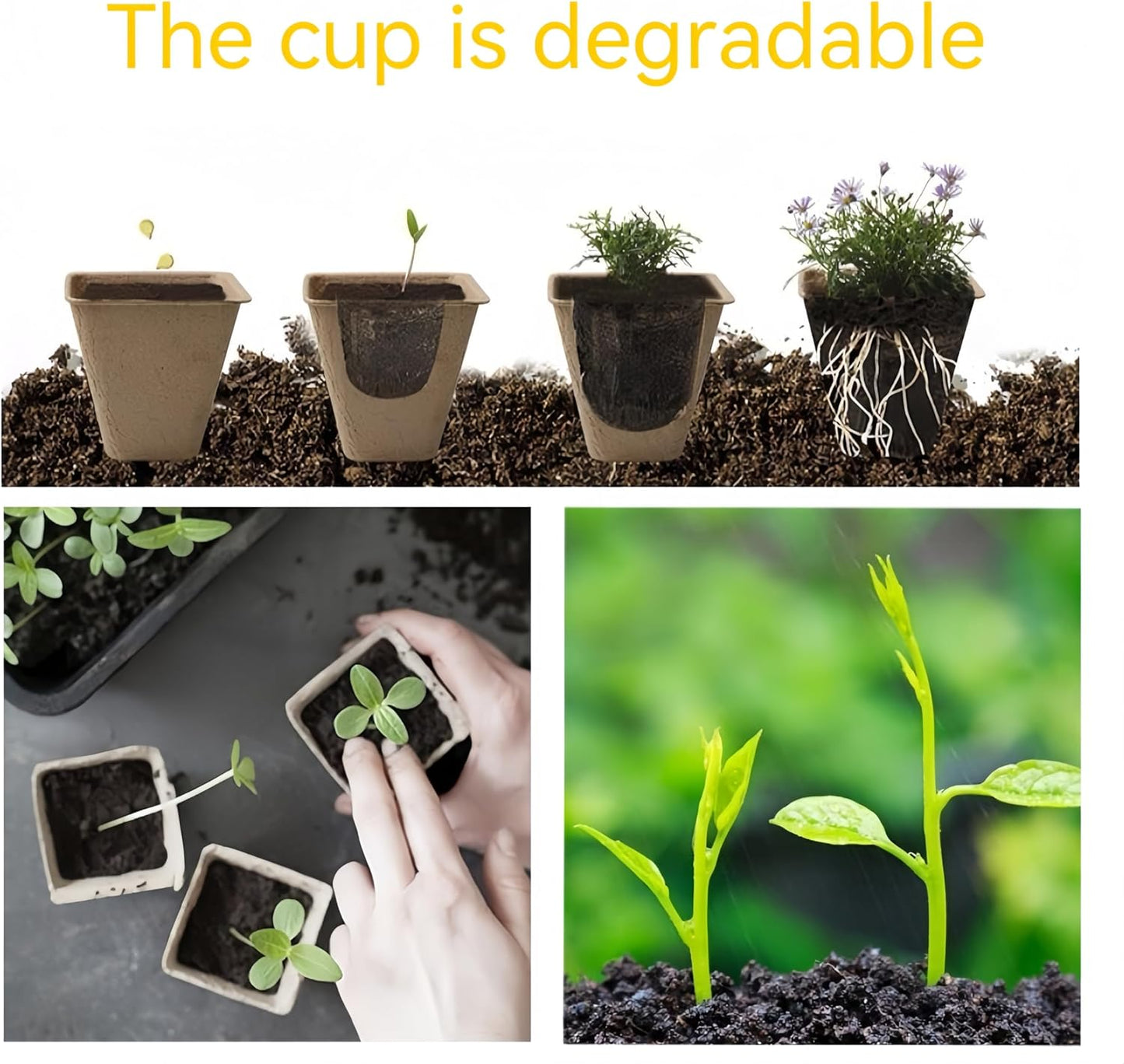 240 Cells Seed Starter Tray 24 Packs Biodegradable Peat Pots Germination Trays Organic Seed Starting Trays kit with 24 Labels 2 Transplant Tools