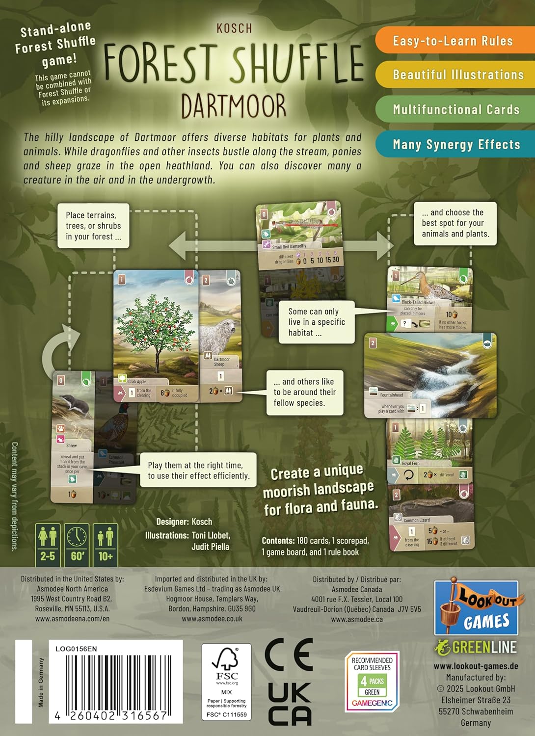 Forest Shuffle Dartmoor Card Game - Build Habitats, Place Trees & Attract Fauna in This Standalone Strategy Game for Kids & Adults, Ages 10+, 2-5 Players, 60 Min Playtime