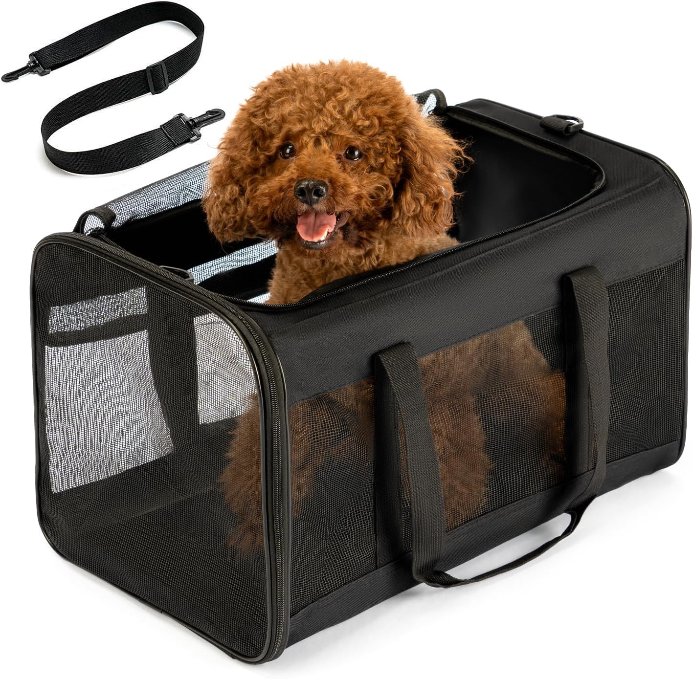 Dog Carrier Bag,Soft-Sided Pet Carriers for Dogs with 4-Sided Mesh, Cat Transport for Large Cats Small Dog Up to 20lb,Collapsible Dat Travel Carrier-L,Black