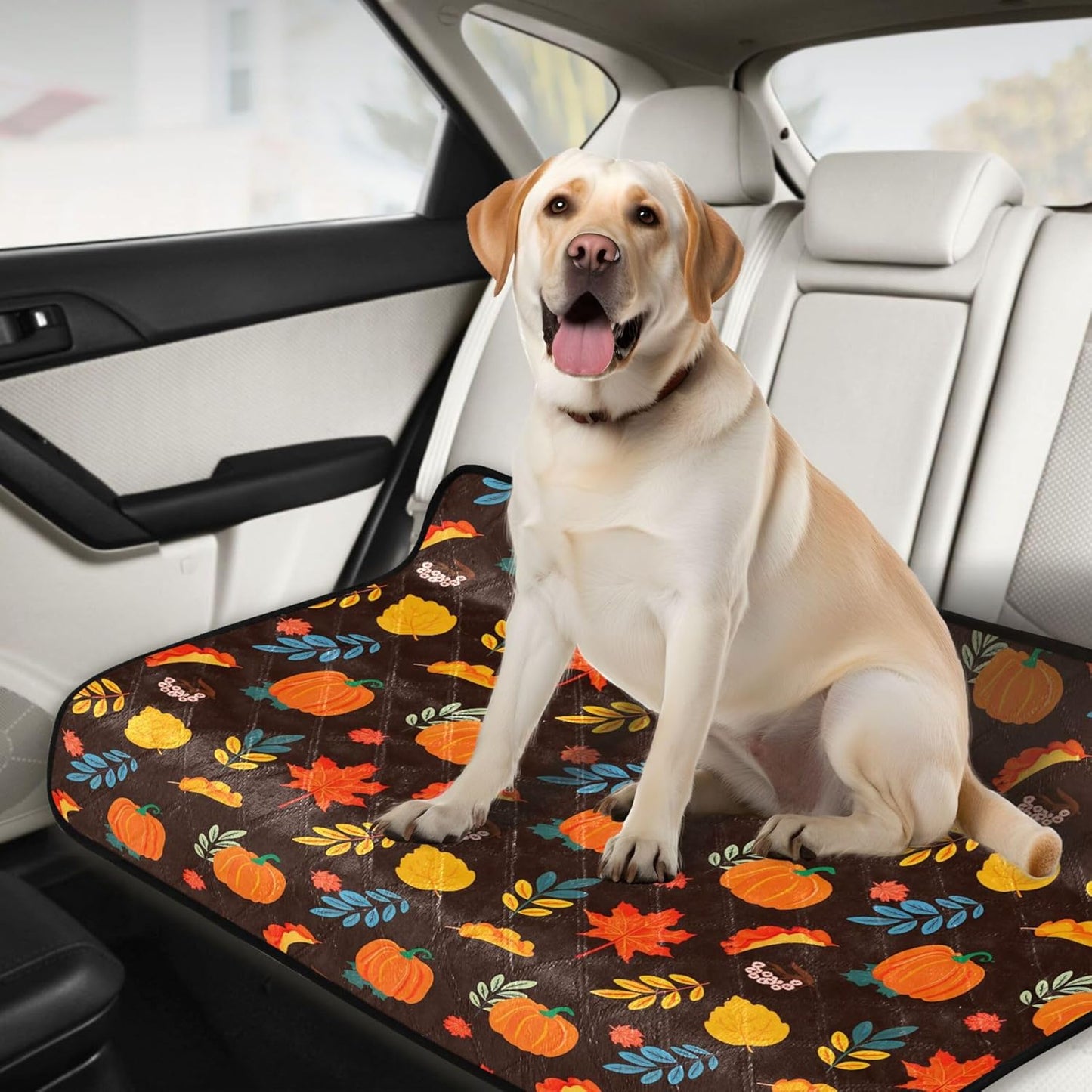 Burbuja Fall Pumpkin Washable Pee Pad for Dogs, Absorbent Leakproof Puppy Training Pad Reusable & Waterproof & Non-Slip Whelping Pad for Playpen Crate Bed Sofa, 20x24 in
