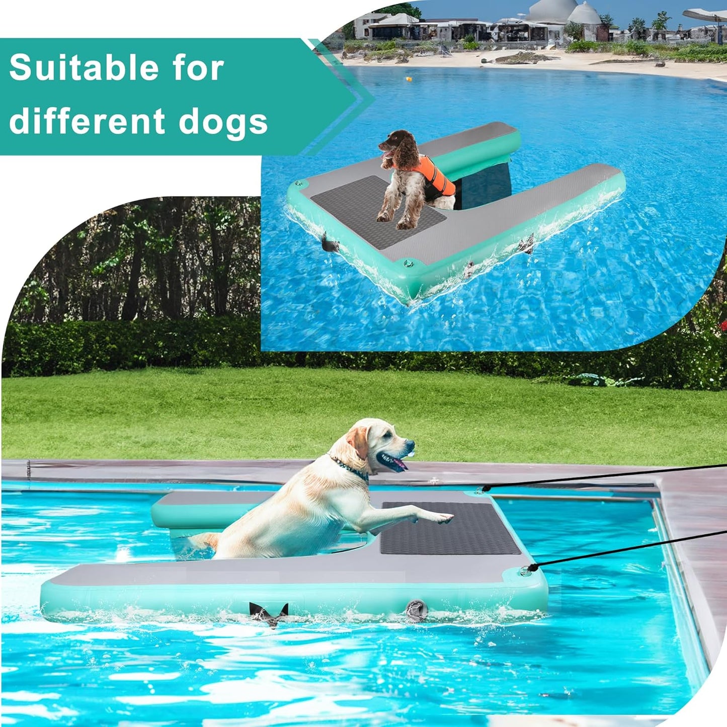 Inflatable Dog Water Ramp, High Stability Floating Ladder, Inflatable Non-Slip Steps, Mint Green Raft- Portable and Durable for Pools, Lakes, Docks and Boats（Up to 230lbs）