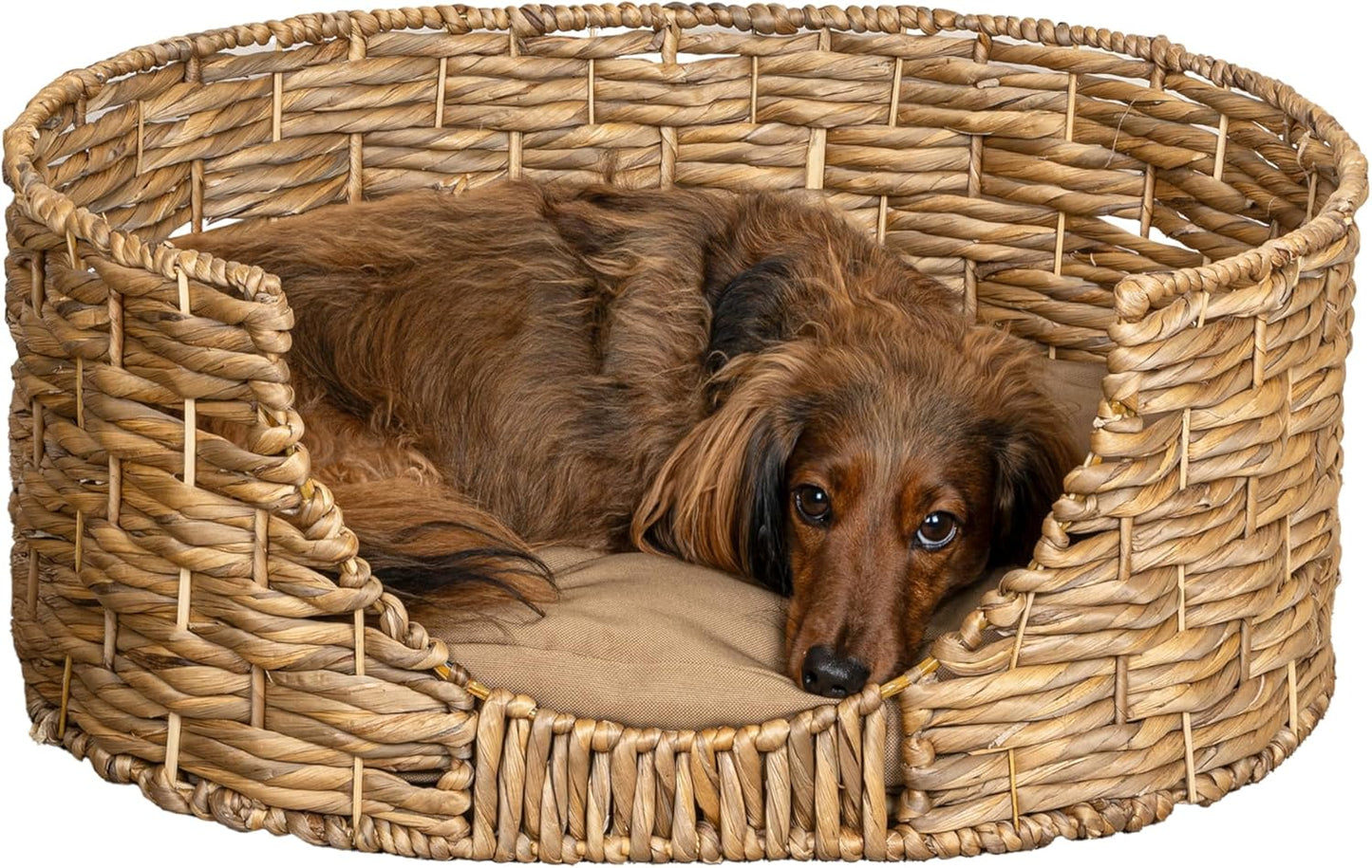 DBD4001A Perri 24" x 18" Classic Farmhouse Handwoven Hyacinth Oval Pet Bed with Machine-Washable Cushion, Natural