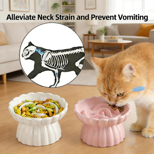Ceramic Raised Cat Slow Feeder Bowls Whisker Friendly Anti Vomiting Cat Slow Eating Food Bowl for Cats Puppy Dogs Neck Support Plates (White)