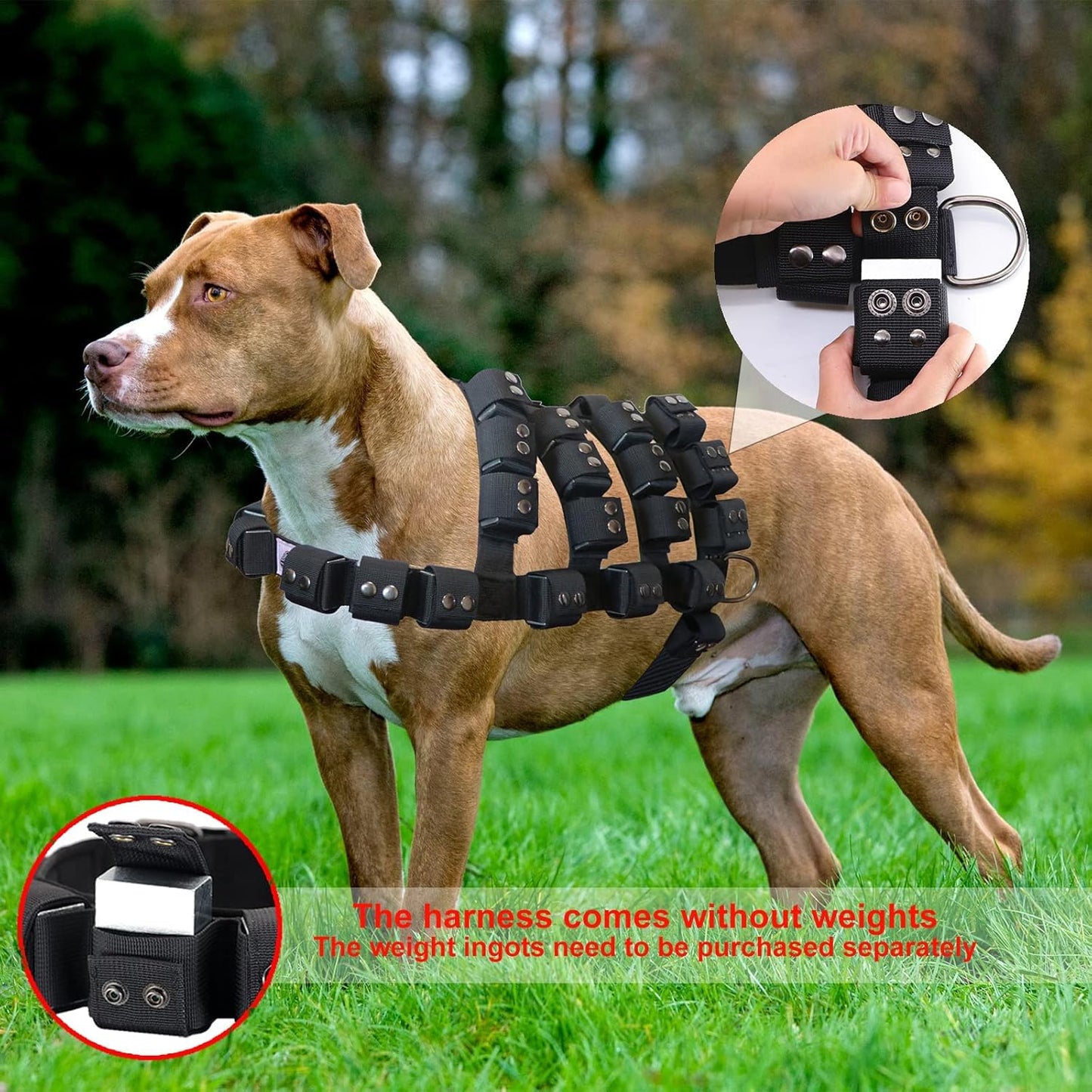 Dog Harness for Small Medium Large Dogs No Pull, Dog Weighted Vest, Tactical Dog Harness for Pit Bulls with Pockets (Adjustable Weight) - Weight Loss, Exercise, Walking, Muscle