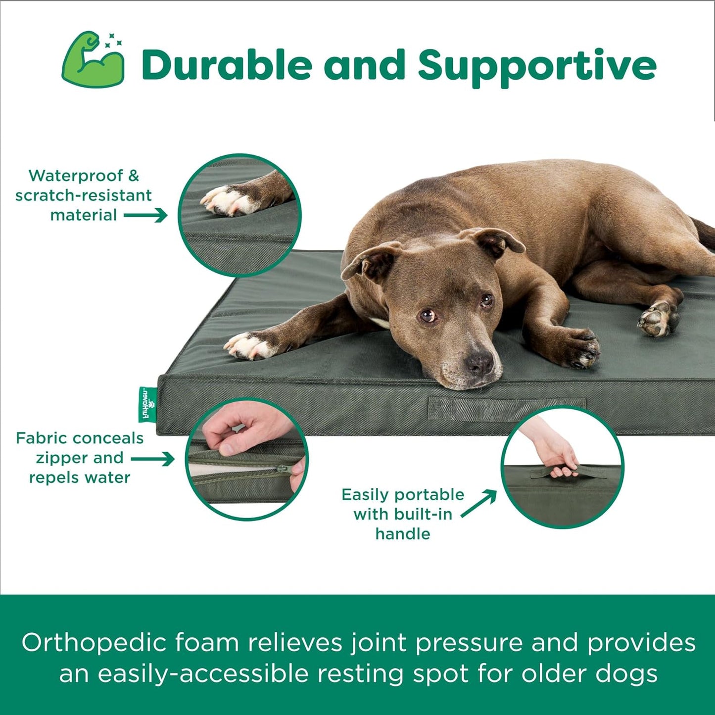 Premium Indoor-Outdoor Deluxe Orthopedic Mattress Pet Bed, Dark Olive, Large