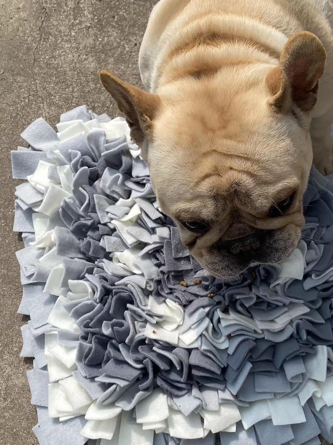 Light Grey,Square,50x50cm Large Size,Washable Anti Slip,Big Tough for Large Dog Feeding mat, Food Puzzles, Sniffing Foraging Snuffle mat