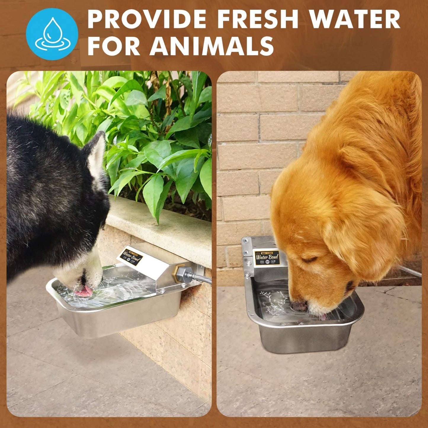 PETTEN Automatic Water Dispenser for Dogs,3L/1Gal Stainless Steel Water Bowl Dispenser Kit, Auto-Filling Fresh Water for Pets/Livestock, Fits GHT Male 3/4" Faucet.