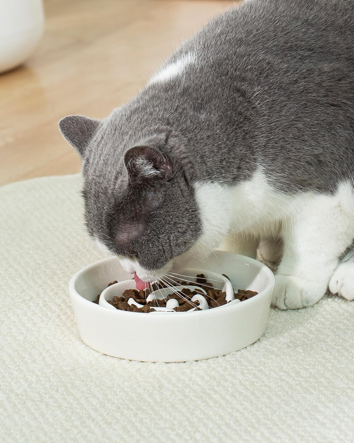TRUVIC Ceramic Slow Feeder Dog Bowls Small Breed, 0.6 Cup Slow Feeder Cat Bowls for Fast Eaters, Ceramic Dog Food Dish no Black Chin, Puzzle Bowl for Small Dogs and Cats, White