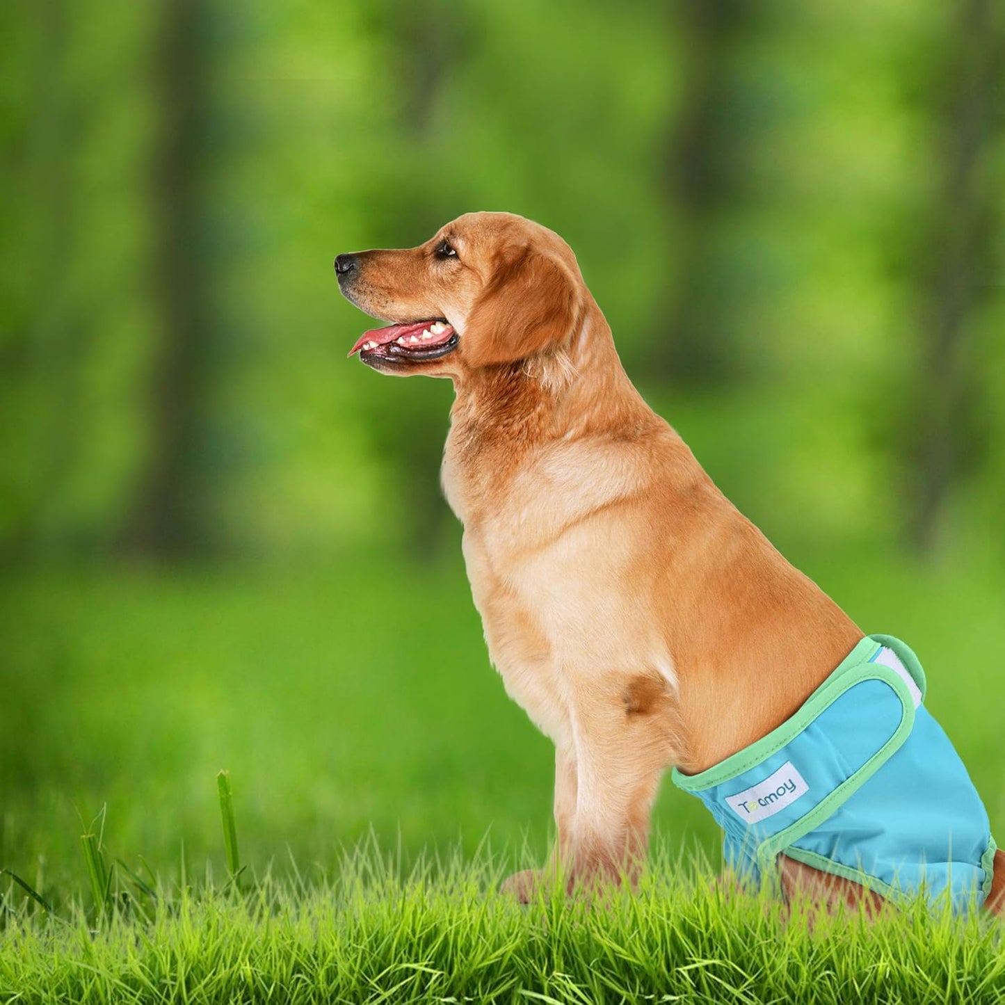 Teamoy 3Pcs Washable Female Dog Diapers, Reusable Doggie Diaper Wraps for Female Dogs, Super-Absorbent and Comfortable, Yellow + Purple + Blue, XL