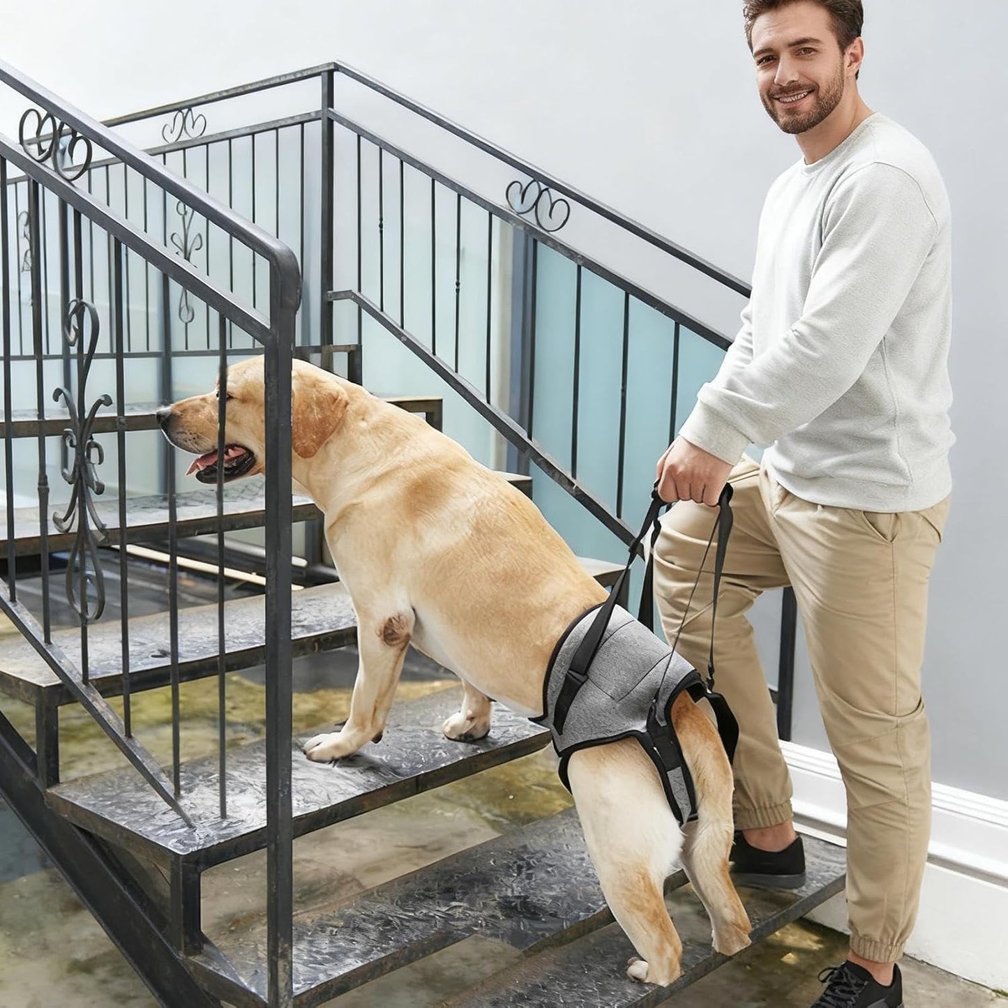 Dog Assist Harness, Elastic Quick Release Carrier, Assistance Harness with Handle, Dog Strap with Support for Weak Rear Legs, Pet Accessories, Pet Tool for Indoor Walking Daily Use