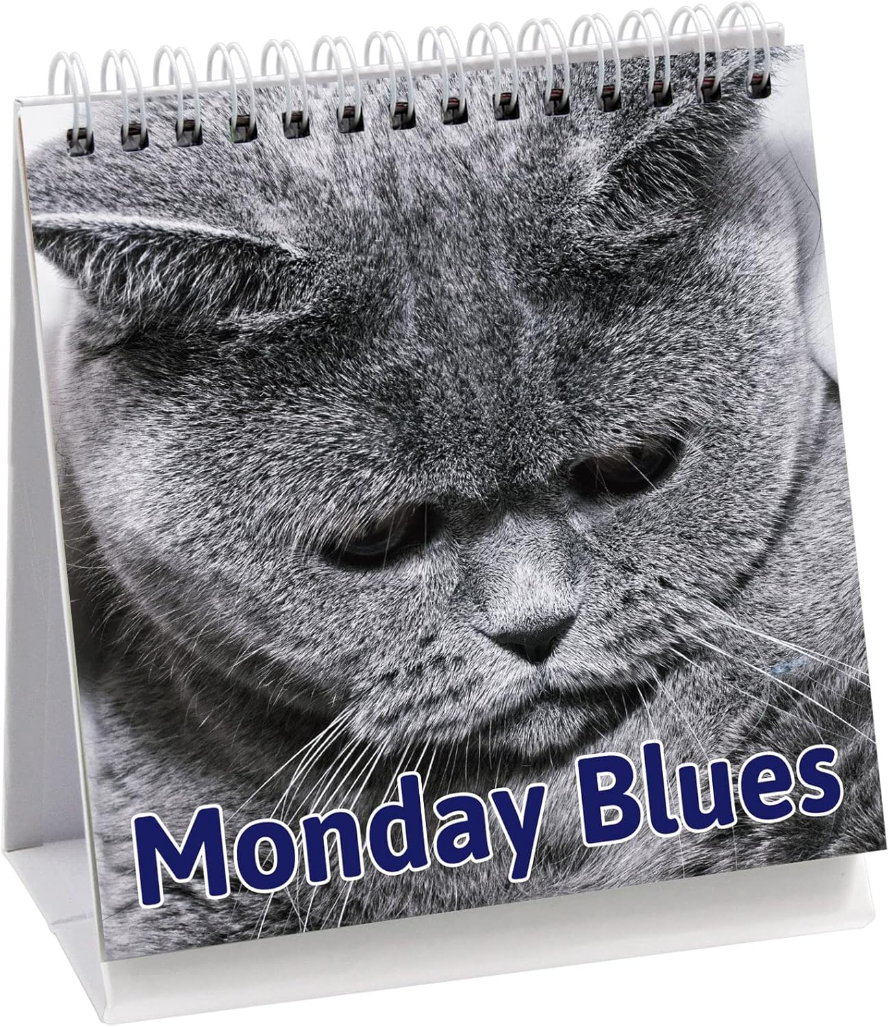 Fancy Land Funny Desk Signs for Kitten Lovers 30 Different Fun and Flip-Over Messages for Office Desk Accessories