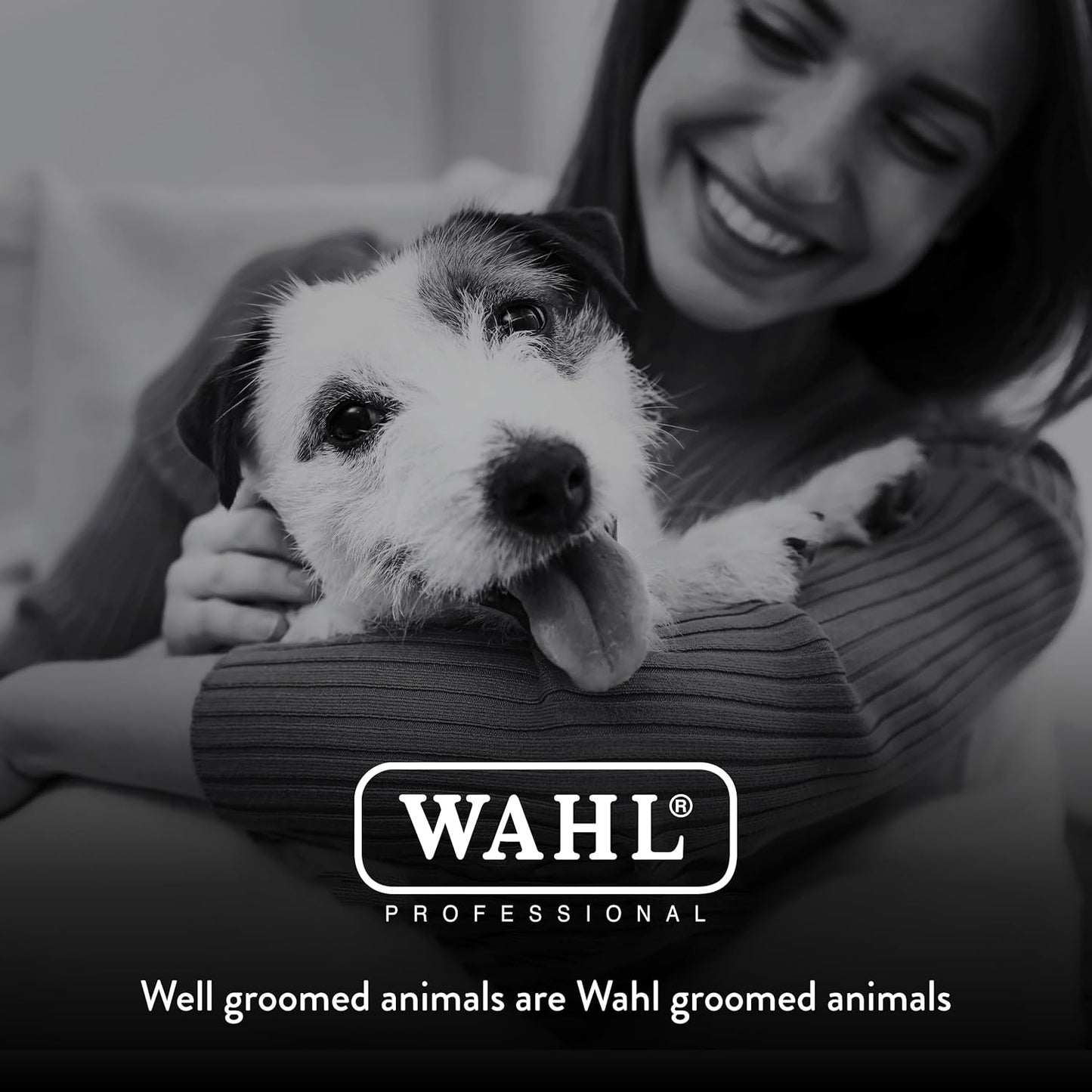 Wahl Professional Animal 10 Medium Competition Series Detachable Blade with 1/16-Inch Cut Length (2358-100)