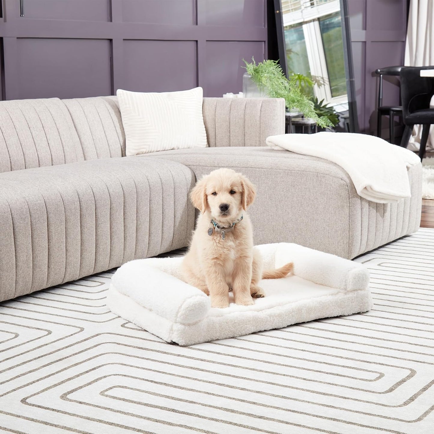 Molly Cozy Sherpa Sofa Style Dog Bed with Removable Cover - Medium (29" x 20") - Snow