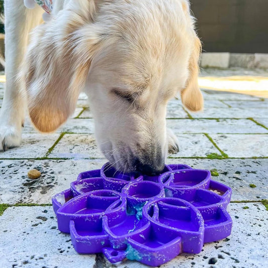 SodaPup Mandala eTray – Durable Slow Feeder Tray Made in USA from Non-Toxic, Pet-Safe, Food Safe Material for Mental Stimulation, Calming, Avoiding Overfeeding, Slow Eating, Healthy Digestion & More