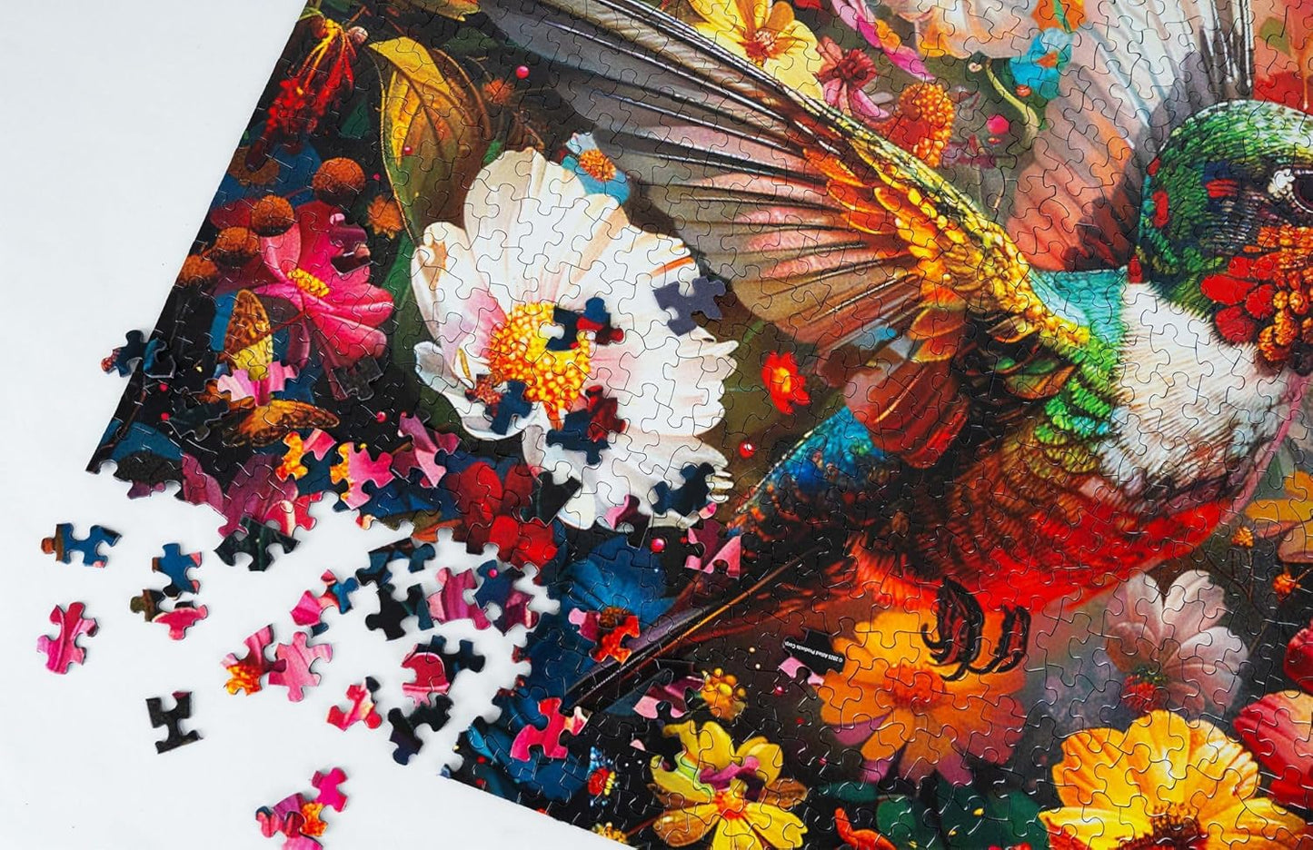 Springbok Hummingbird Dream 1000 Piece Puzzle for Adults - Featuring a Vivid Hummingbird and Flowers