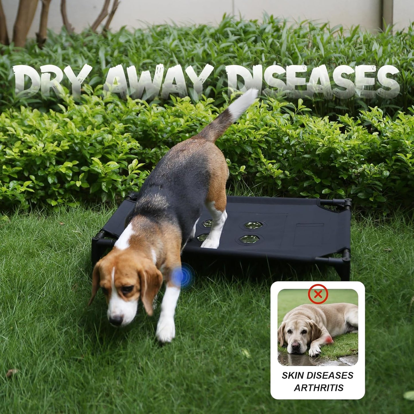 Cooling Elevated Dog Bed with 4 Cooling Modules PVC Cover, Anti-Slip Base & Stainless Steel Frame for Dogs, Cats, and Kids - Indoor & Outdoor Use