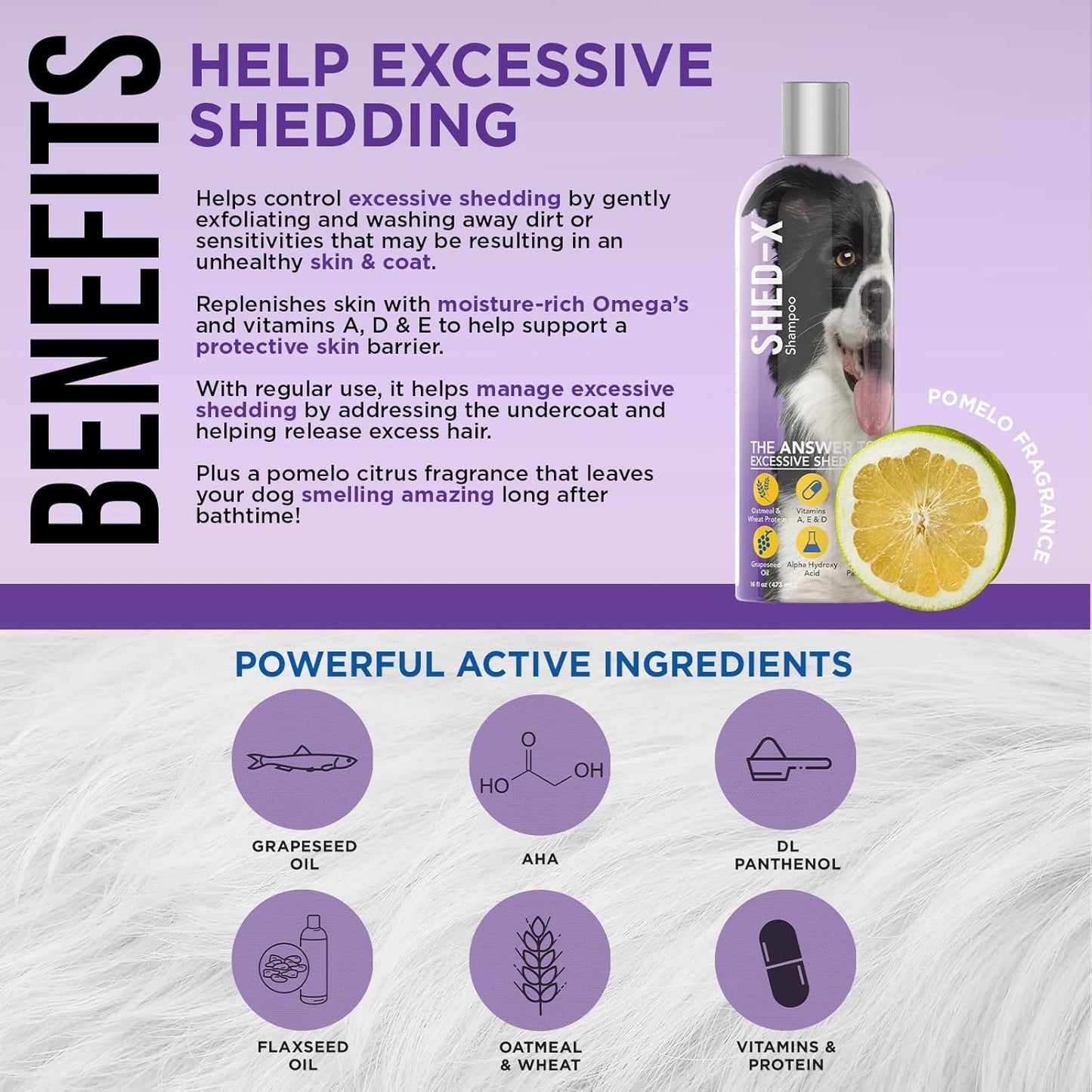 Shed-X Shed Control Shampoo for Dogs, 16 oz – Reduce Shedding – Shampoo Infuses Skin and Coat with Vitamins and Antioxidants to Clean, Release Excess Hair, and Exfoliate