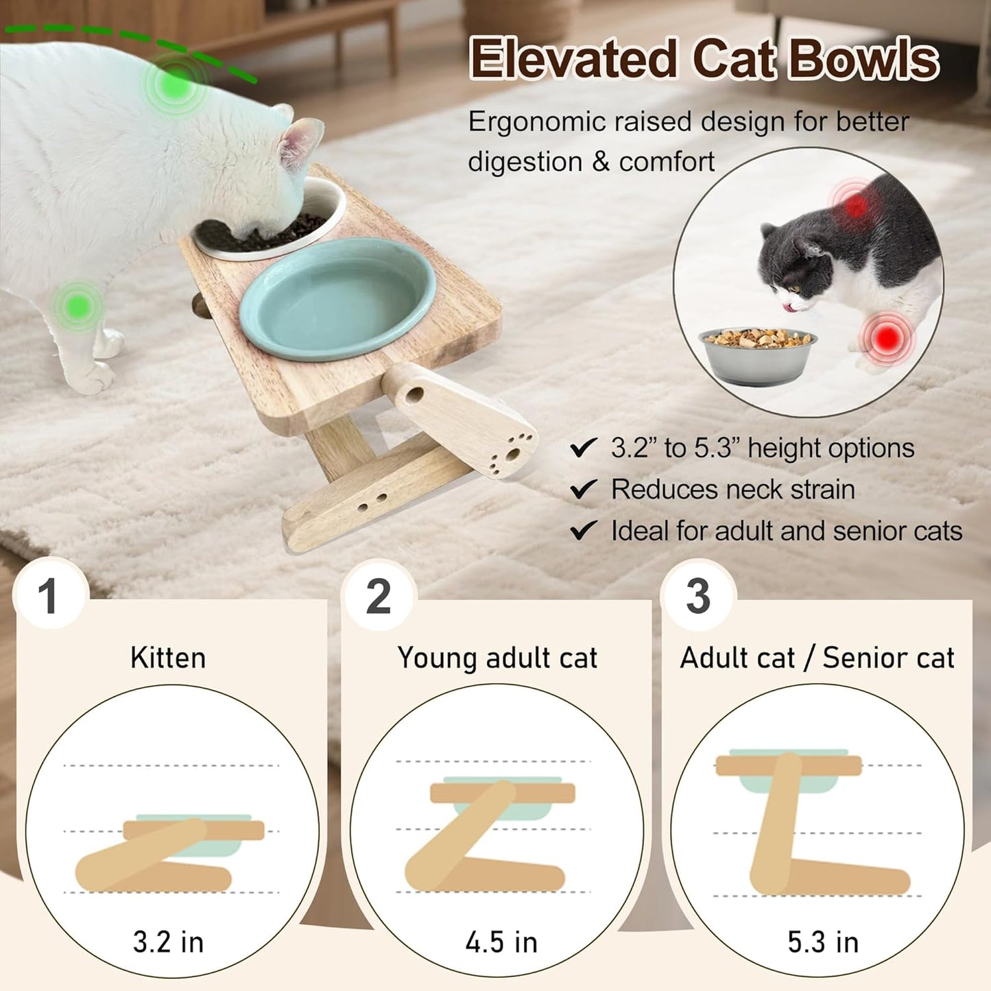 Elevated Cat Bowl, 12 Ounce Ceramic Raised Cat Bowl for Dry and Wet Food, 2 Dishs with Adjustable Wood Stand, for Indoor Kitten, Cats and Puppy, Dishwasher Safe (Cream+Green