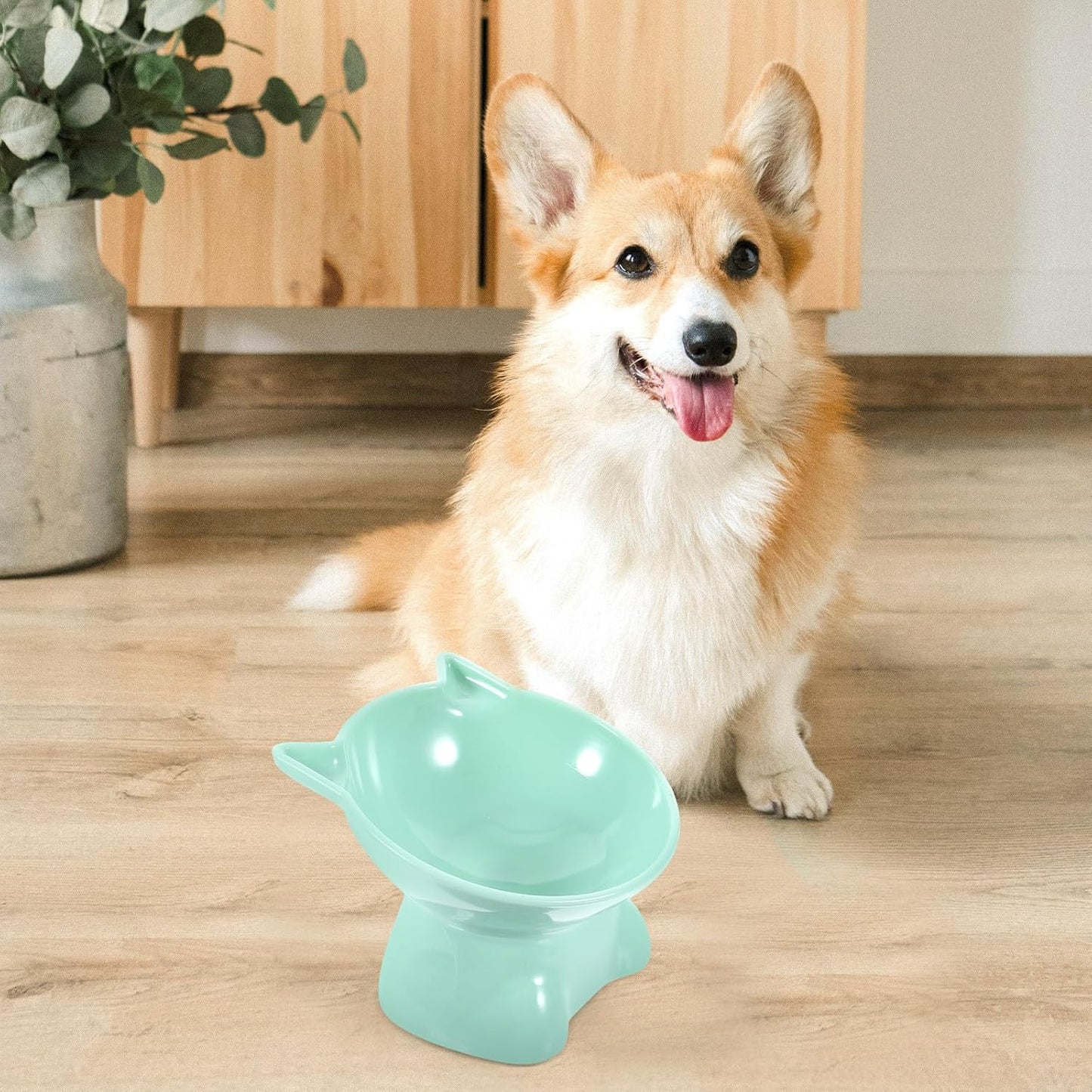 Milisten 2pcs Elevated Cat Feeding Bowls Plastic Raised Pet Food Dishes with Neck Protection Slanted Design for Cats and Small Dogs in Blue Gray and Green