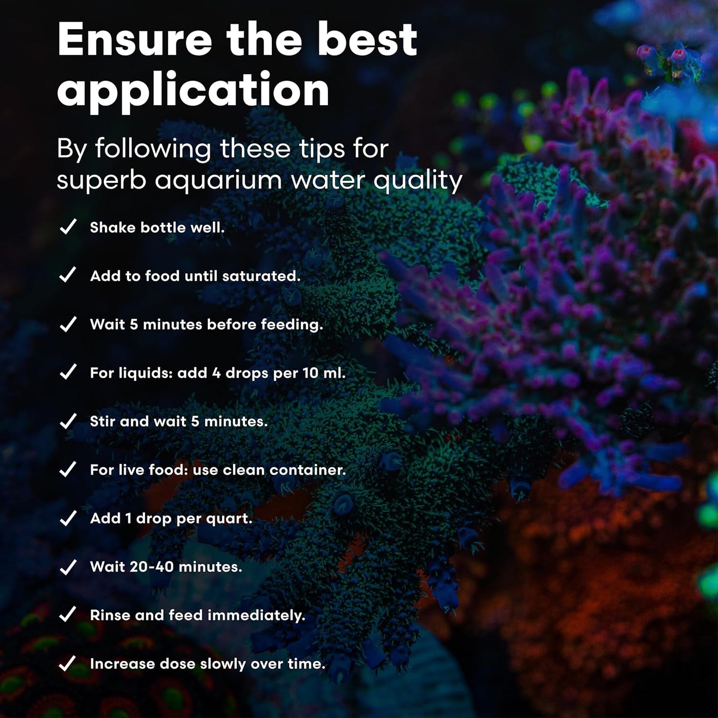 Brightwell Aquatics AminŌmega Amino Acid Omega-3 6 Supplement for Enriching Live Prepared Foods Supports Color Growth Recovery in Marine Fish Corals Inverts, 125 ml