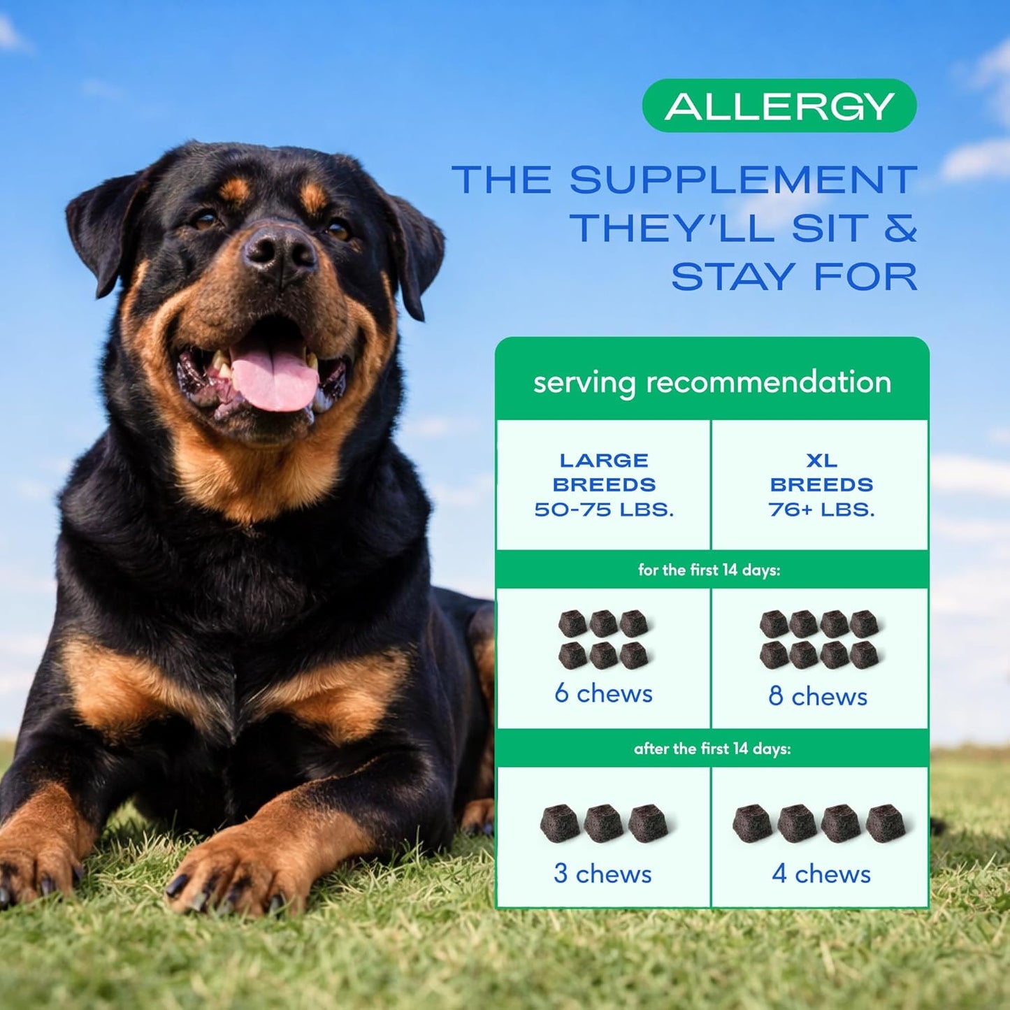 Native Pet Dog Allergy Chews - Dog Allergy Relief for XL Breeds - Supports Seasonal Itch Relief, Healthy Immune Function & Reduces Sneezing - Colostrum, Spirulina, & Probiotics - 30 Days Supply