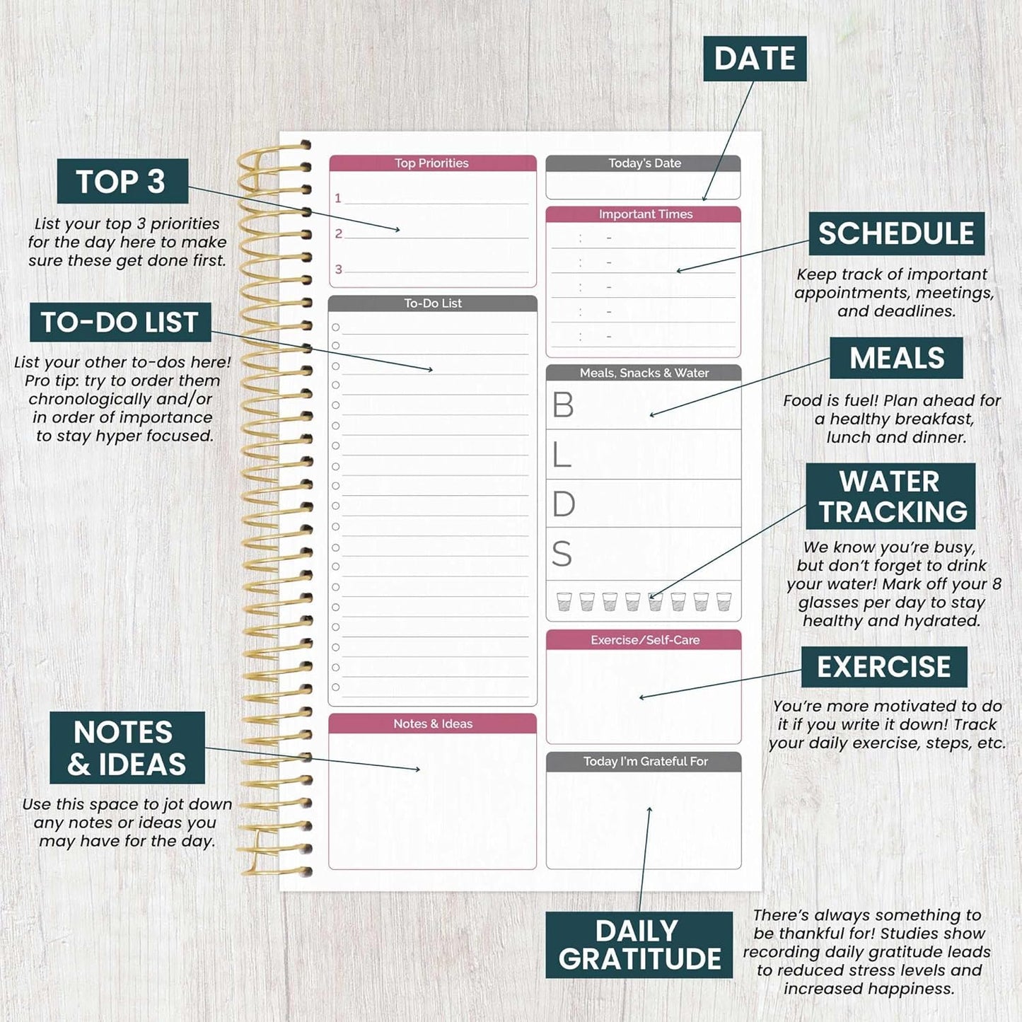 bloom daily planners Bound To Do List Notebook - Undated Daily Planner with 186 pages for Daily Tasks & Appointments- Spiral To Do List Notepad Book for Office, Home, School - Floral Dots V2