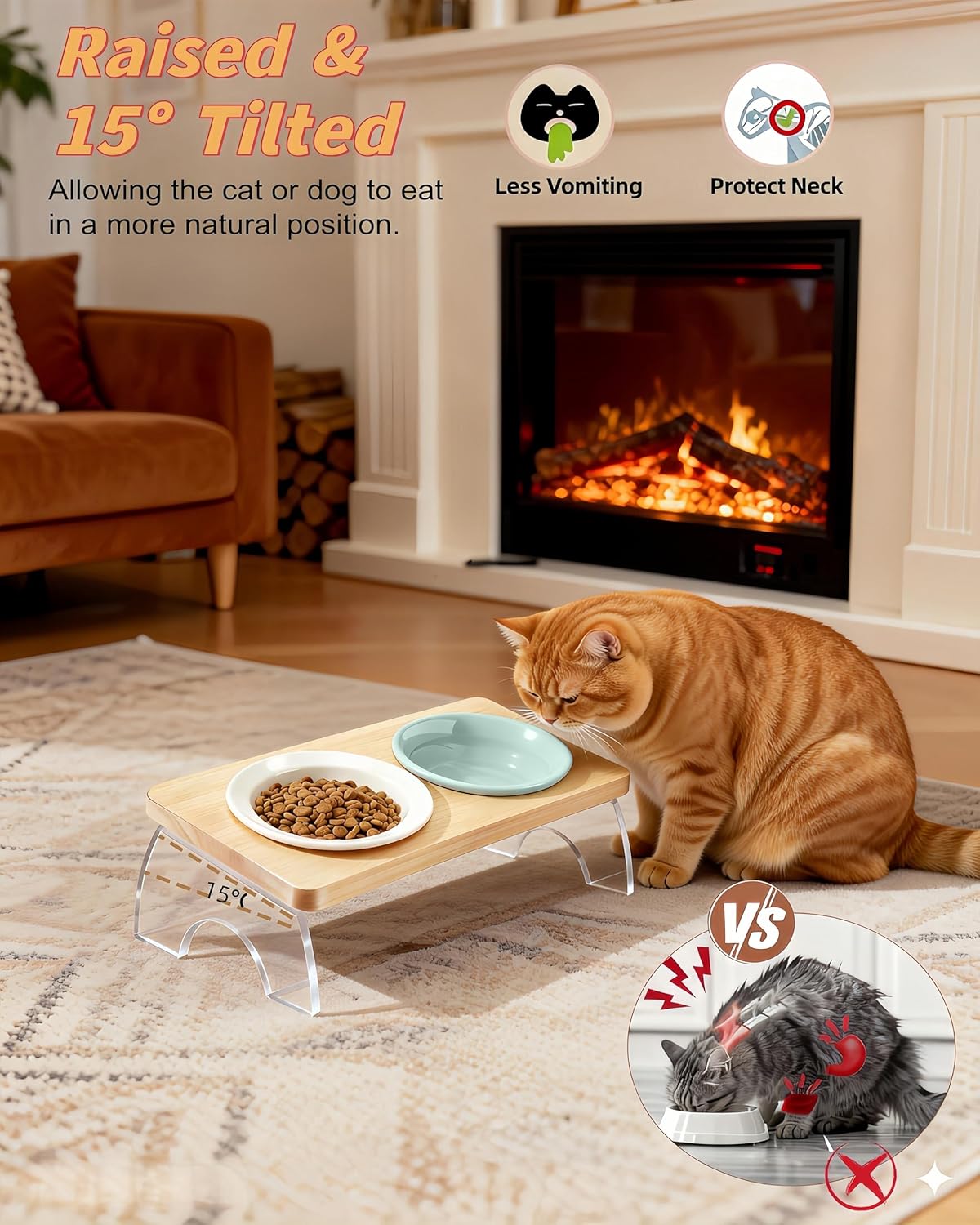 Elevated Cat Dog Bowl with Double Ceramic Bowls
