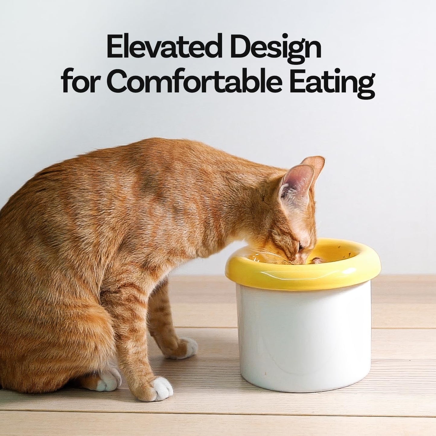 Donut Bowl Elevated Ceramic Cat Bowl with Stand, Raised Whisker-Friendly Bowl for Cats & Small Dogs, Patented Donut Design, Made in Korea (5.9" H -White)
