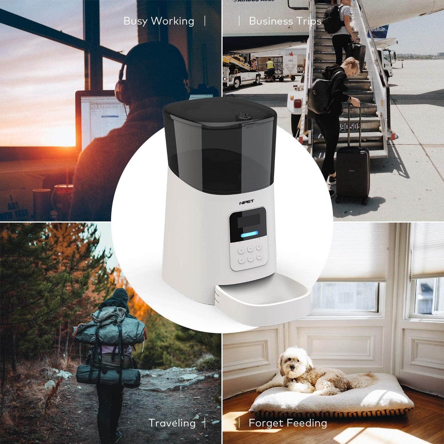 Pet Fountain Cordless Pet Feeder, Dog Food Dispenser Automatic, Automatic Cat Feeder for Small Animals with Distribution Alarms, Voice Recorder Pet Water Dispenser