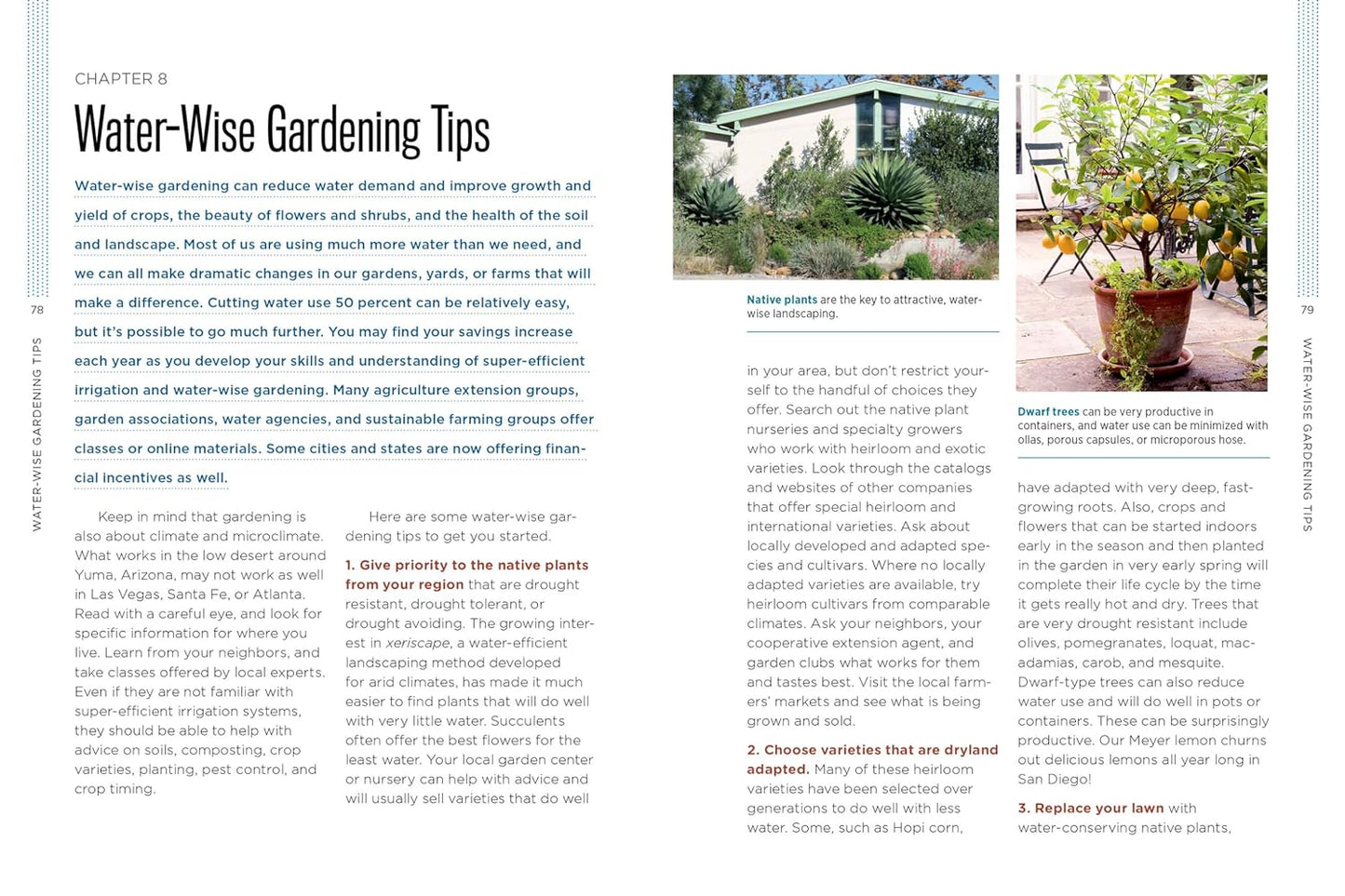 Gardening with Less Water: Low-Tech, Low-Cost Techniques; Use up to 90% Less Water in Your Garden
